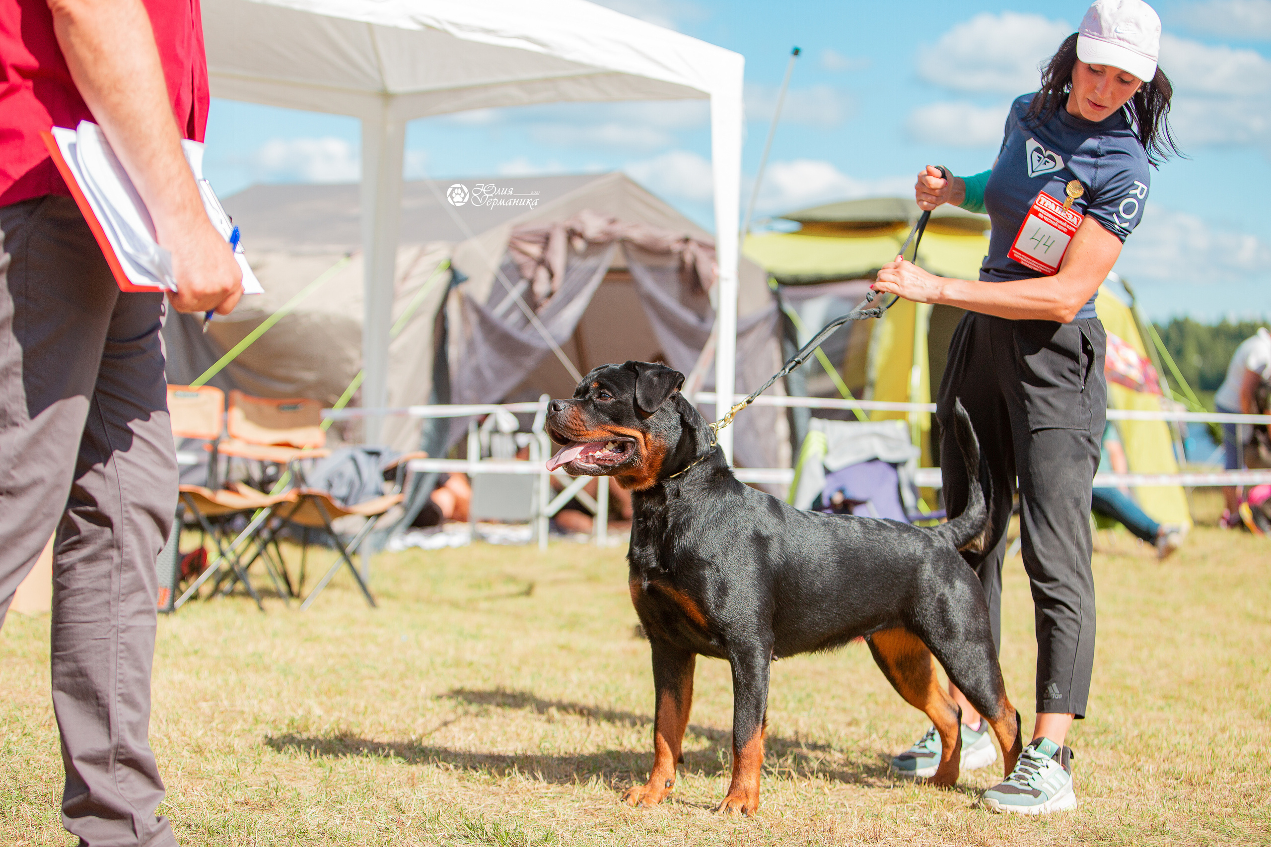 Тверь моно ротвейлеров 3-4 июля 2021. Фотограф-анималист Юлия Германика