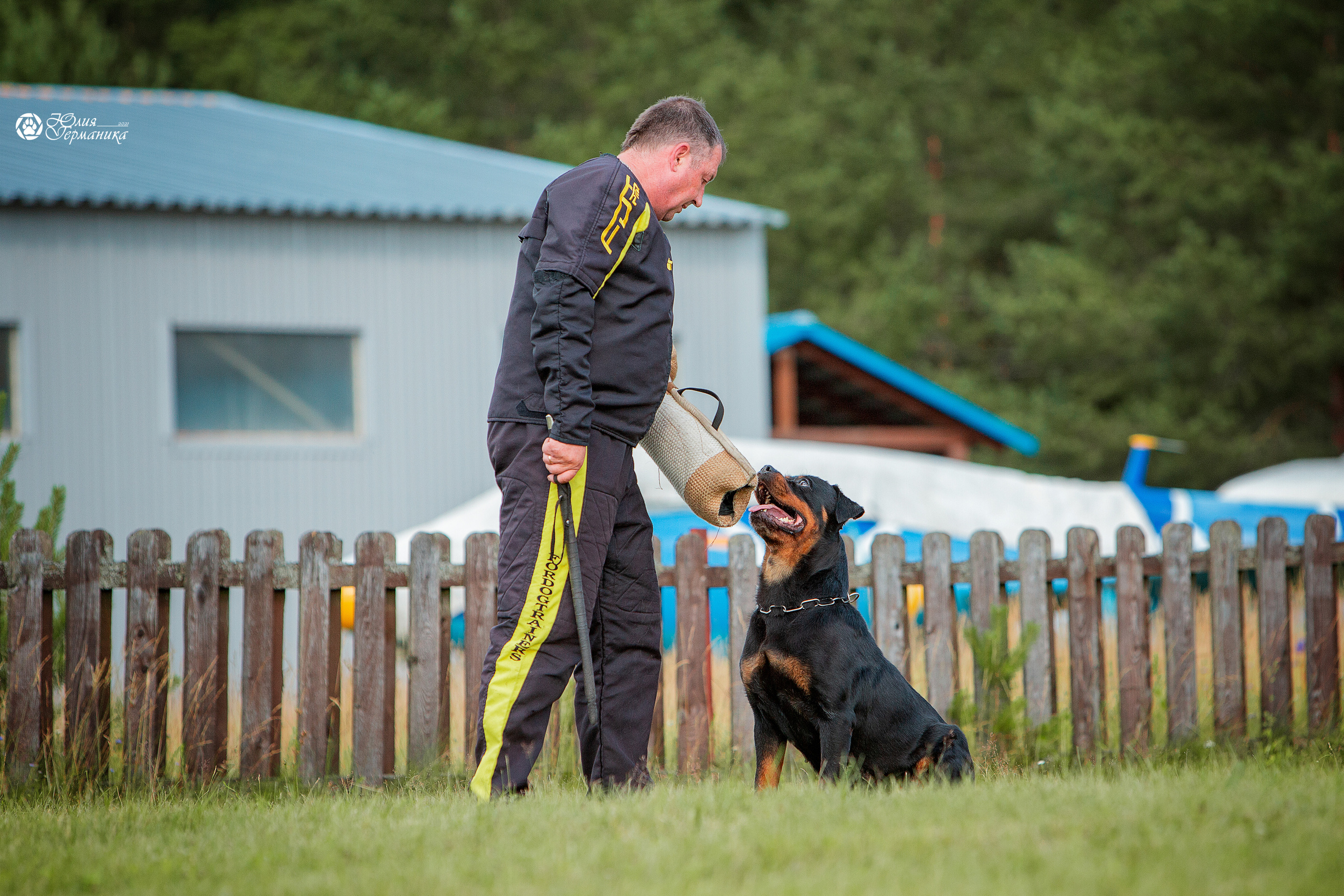 Тверь моно ротвейлеров 3-4 июля 2021. Фотограф-анималист Юлия Германика
