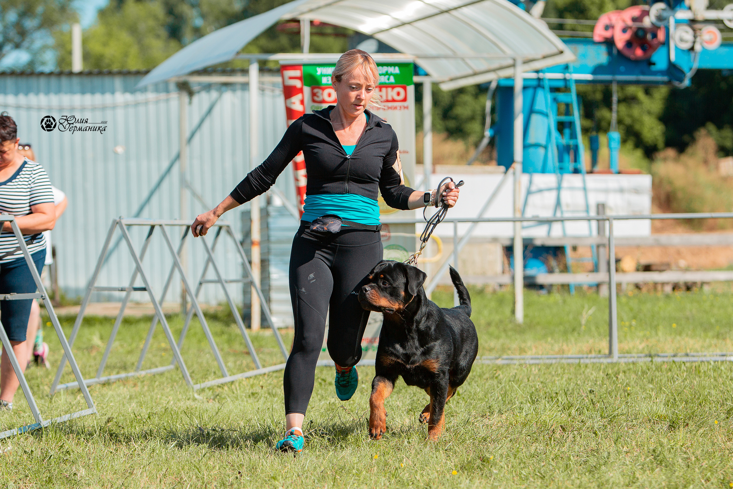 Рязань,Ховрино 14-15 августа 2021 моно ротвейлеров. Фотограф-анималист Юлия Германика