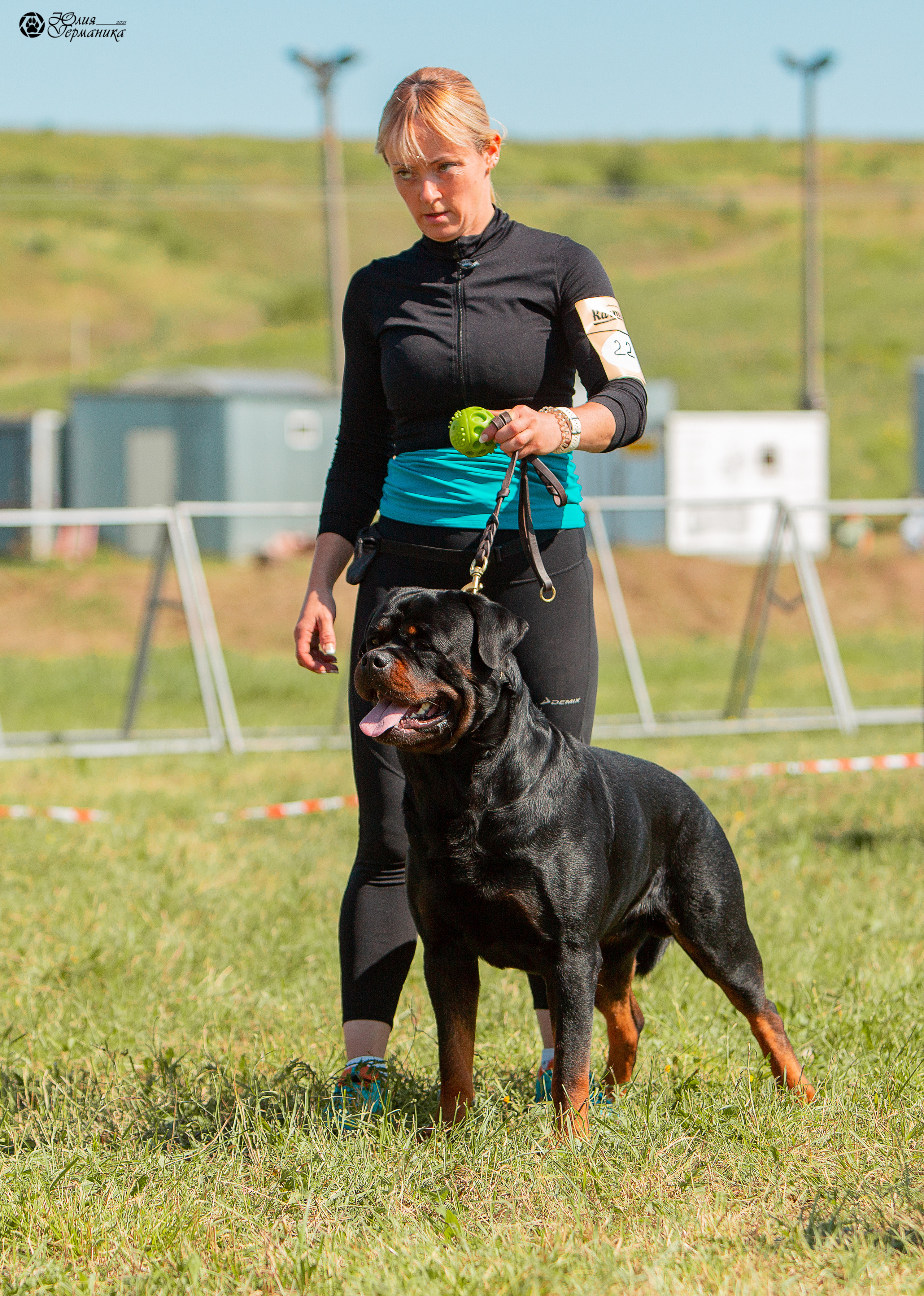 Рязань,Ховрино 14-15 августа 2021 моно ротвейлеров. Фотограф-анималист Юлия Германика