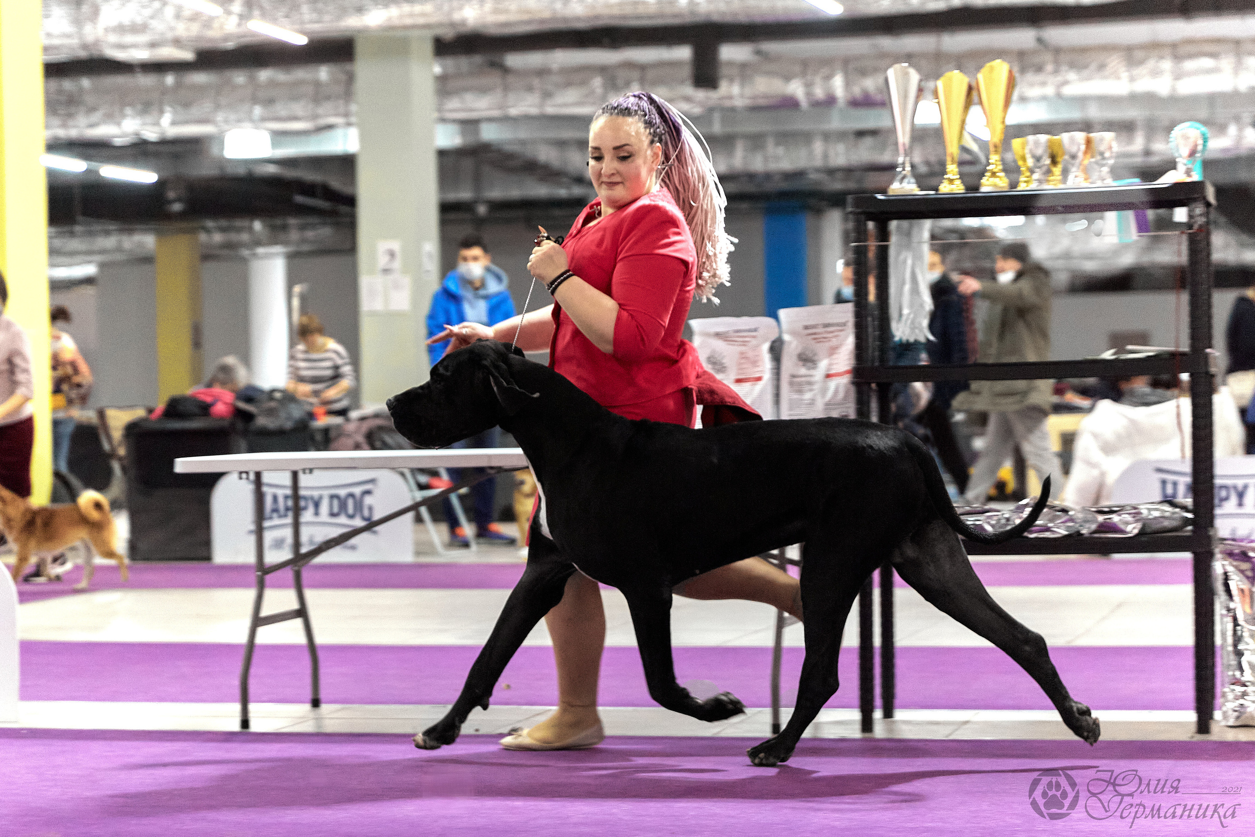 Чайник  13-14 ноября 2021. Фотограф-анималист Юлия Германика