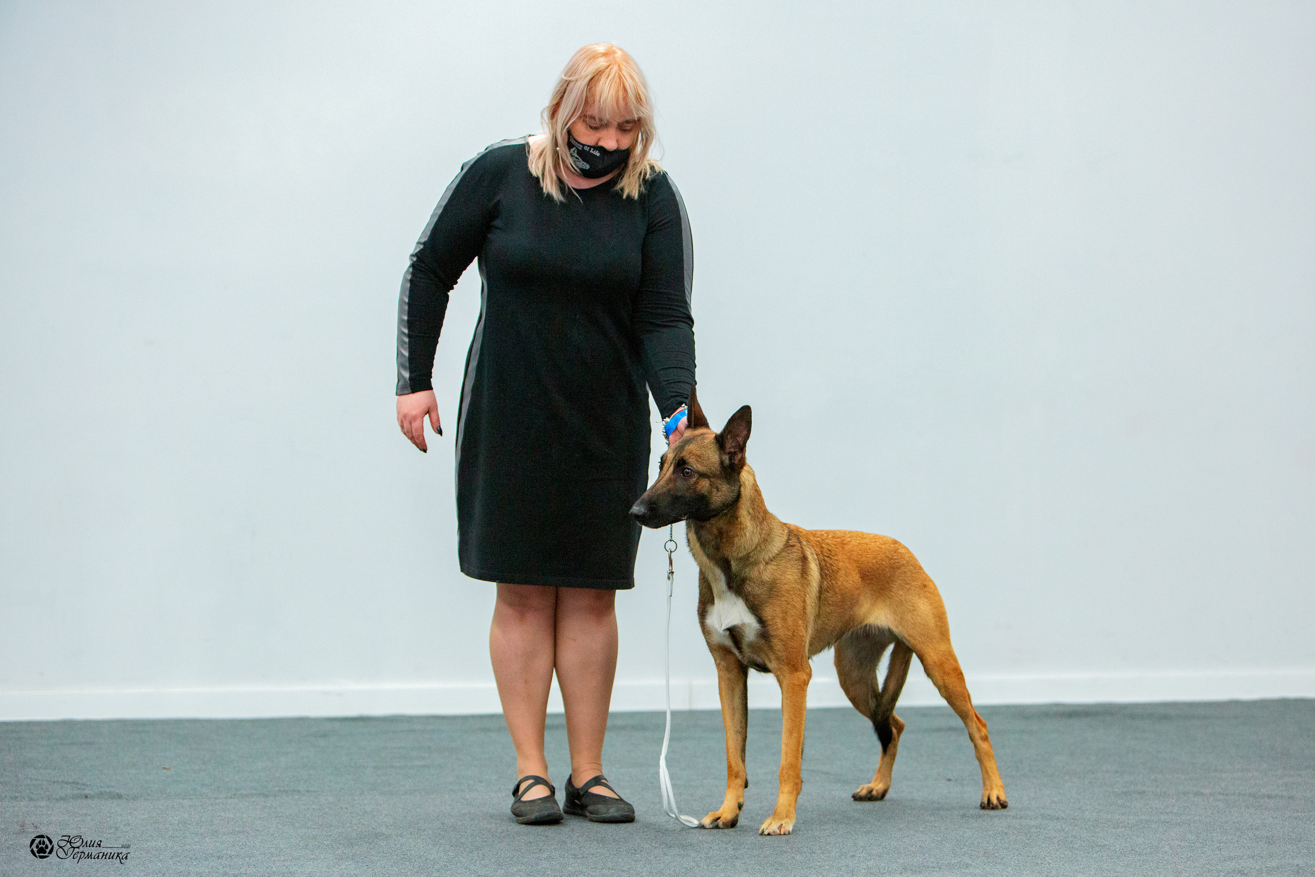 Нижний Новгород 3хCACIB 15-17 октября 2021. Фотограф-анималист Юлия Германика