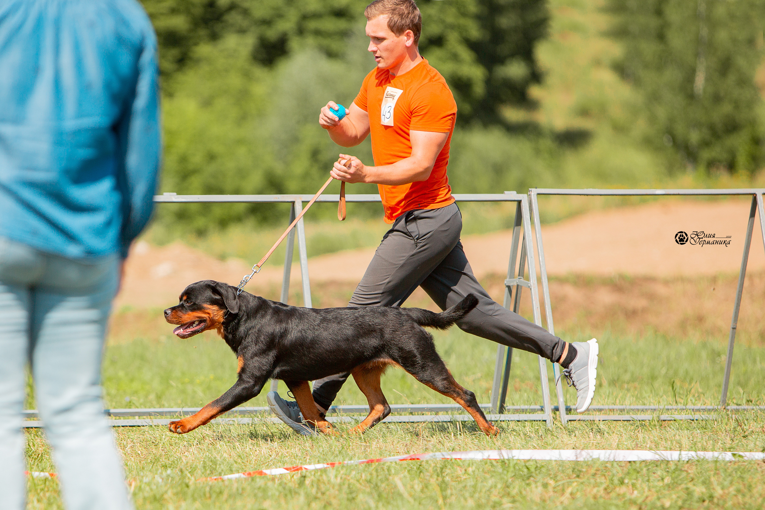 Рязань,Ховрино 14-15 августа 2021 моно ротвейлеров. Фотограф-анималист Юлия Германика