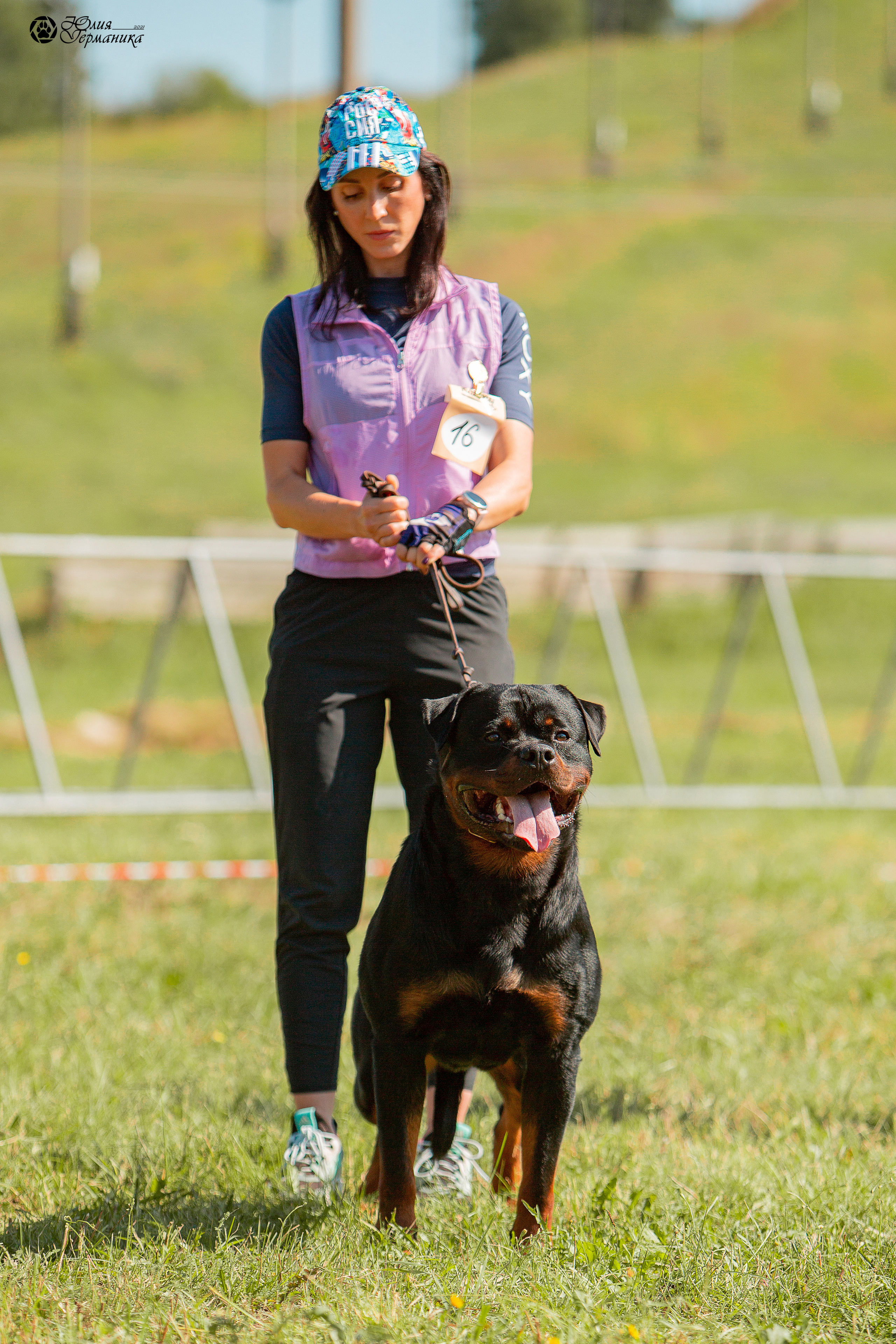 Рязань,Ховрино 14-15 августа 2021 моно ротвейлеров. Фотограф-анималист Юлия Германика
