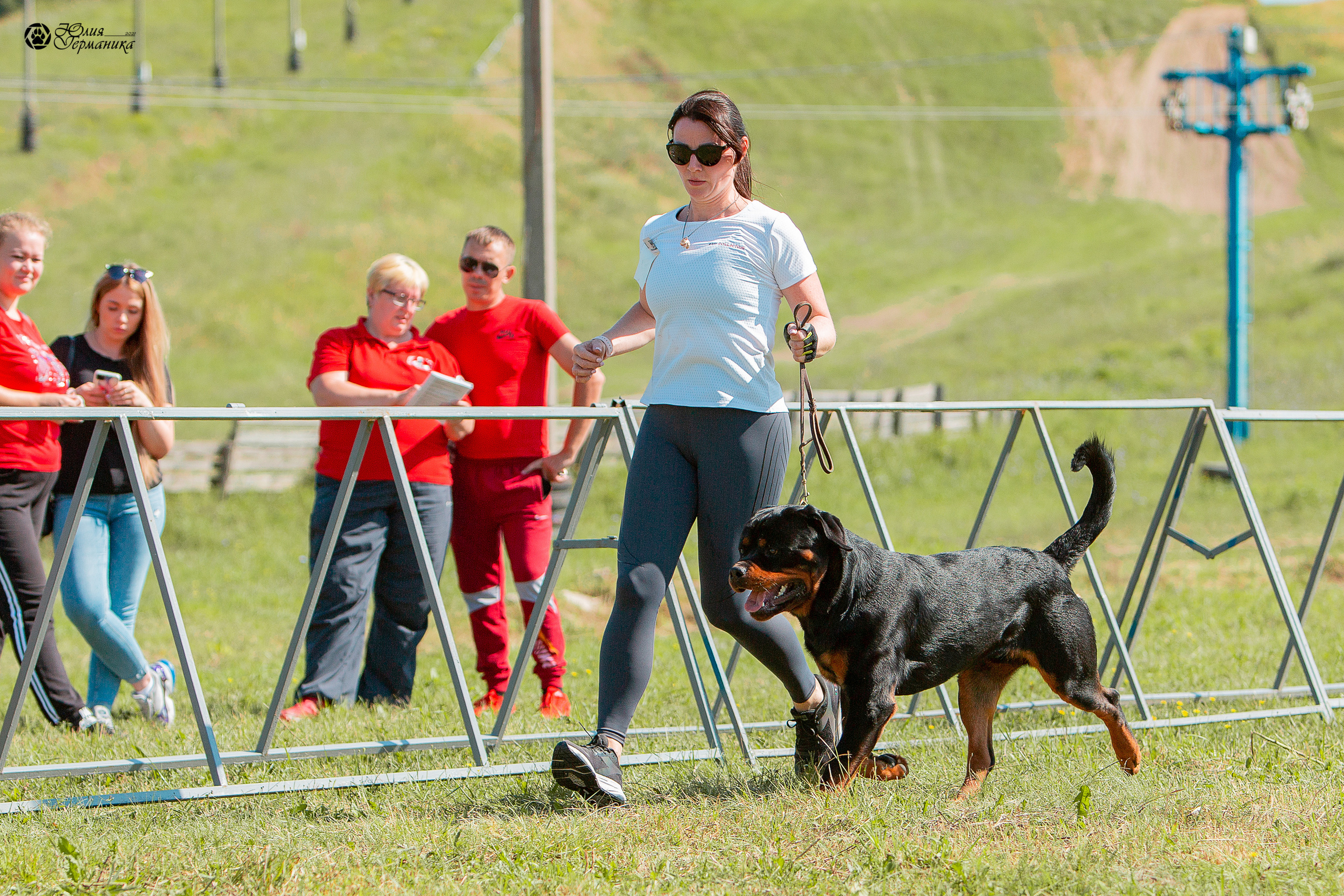 Рязань,Ховрино 14-15 августа 2021 моно ротвейлеров. Фотограф-анималист Юлия Германика