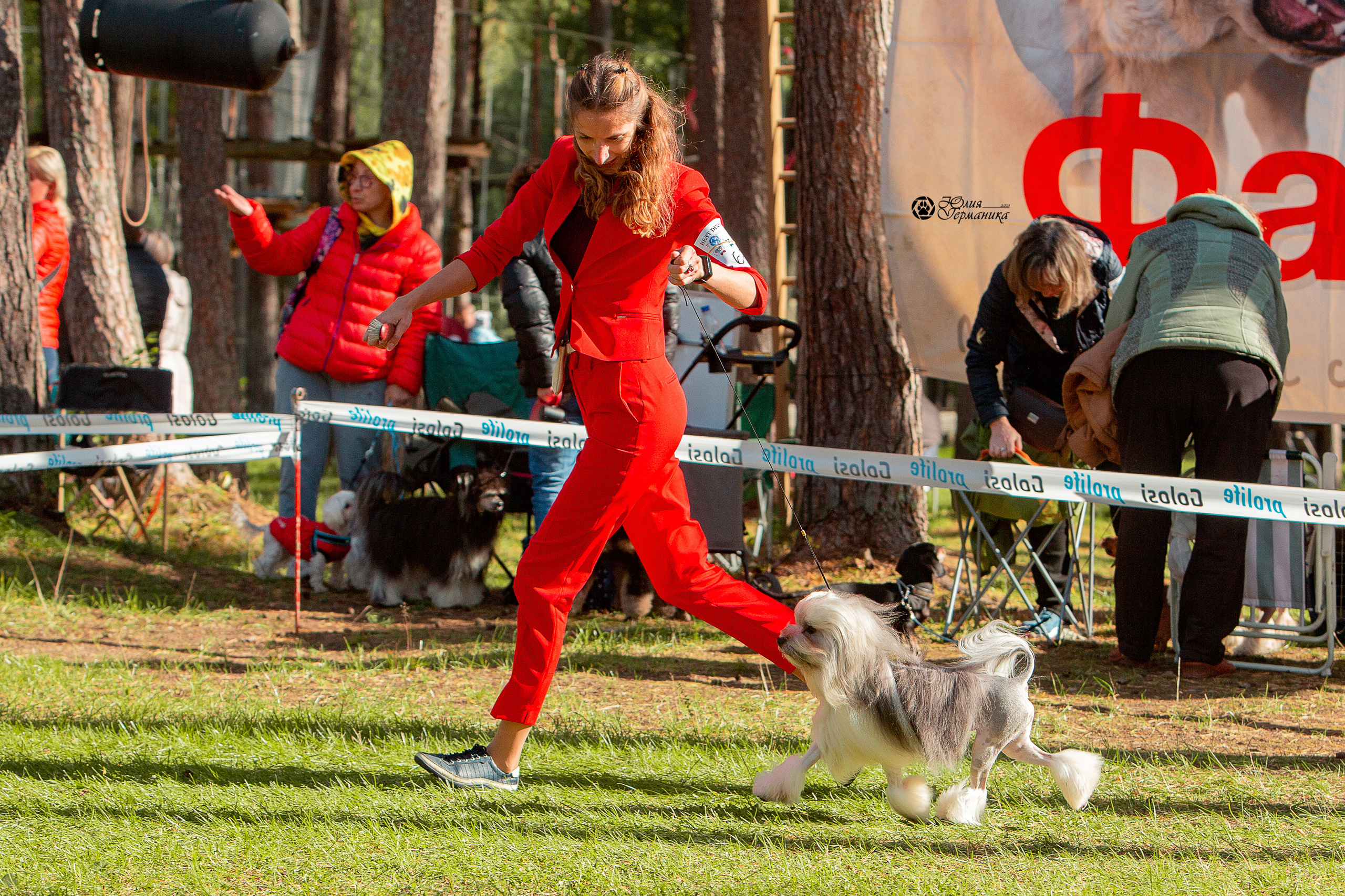 Псков 2xСАСIB 18-19 сентября 2021. Фотограф-анималист Юлия Германика