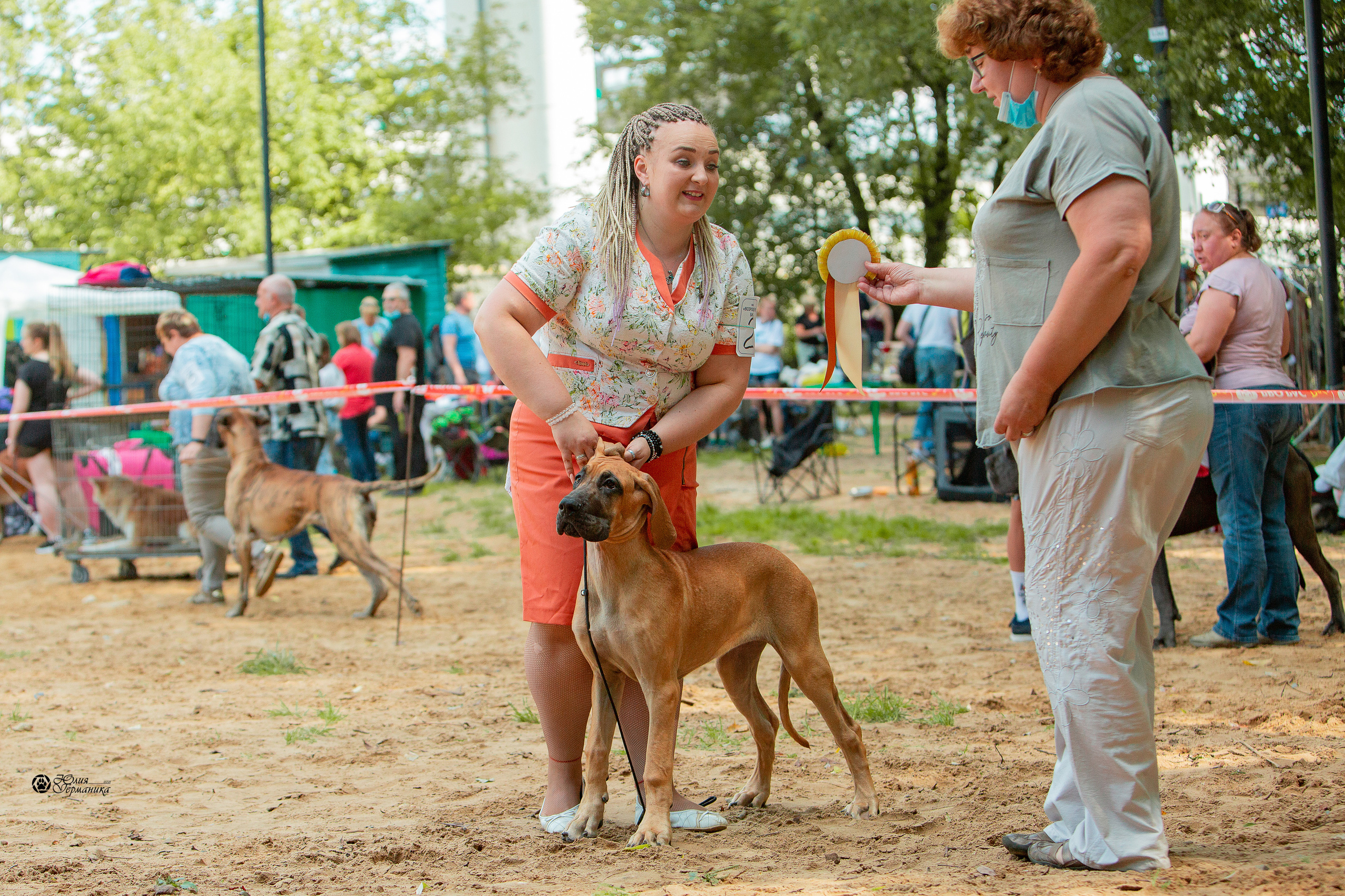Ховрино фестиваль монопородок 15 августа 2021. Фотограф-анималист Юлия Германика