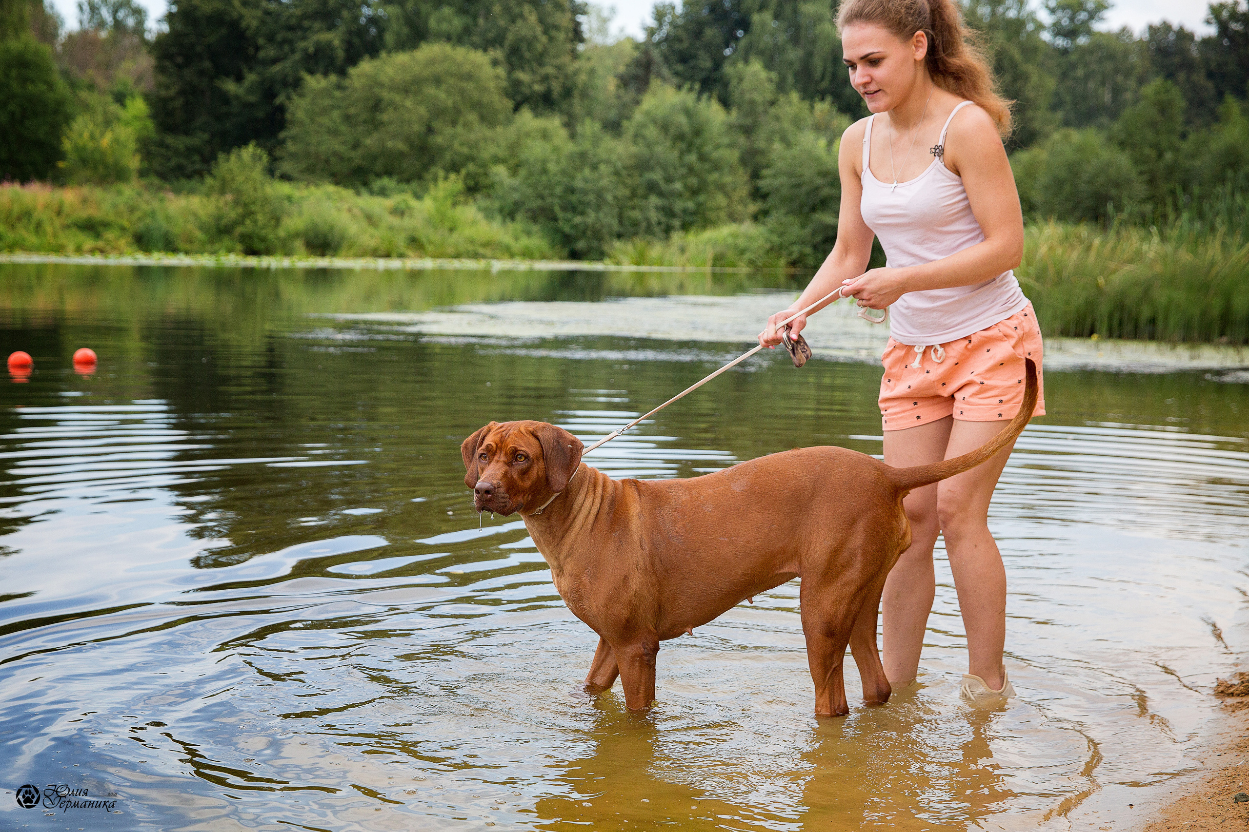 Свободная съемка. Фотограф-анималист Юлия Германика