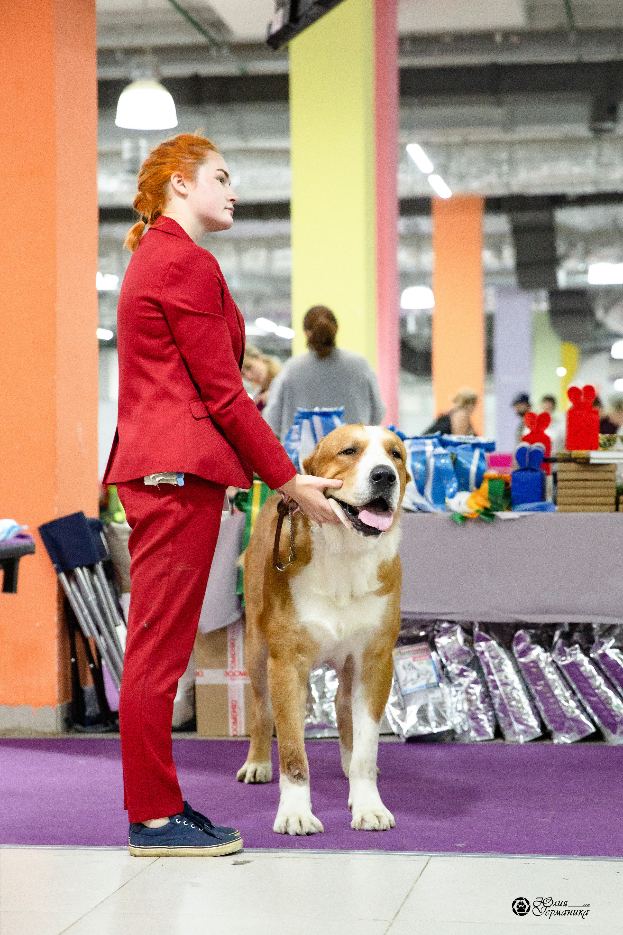 Чайна-Таун 2021. Фотограф-анималист Юлия Германика