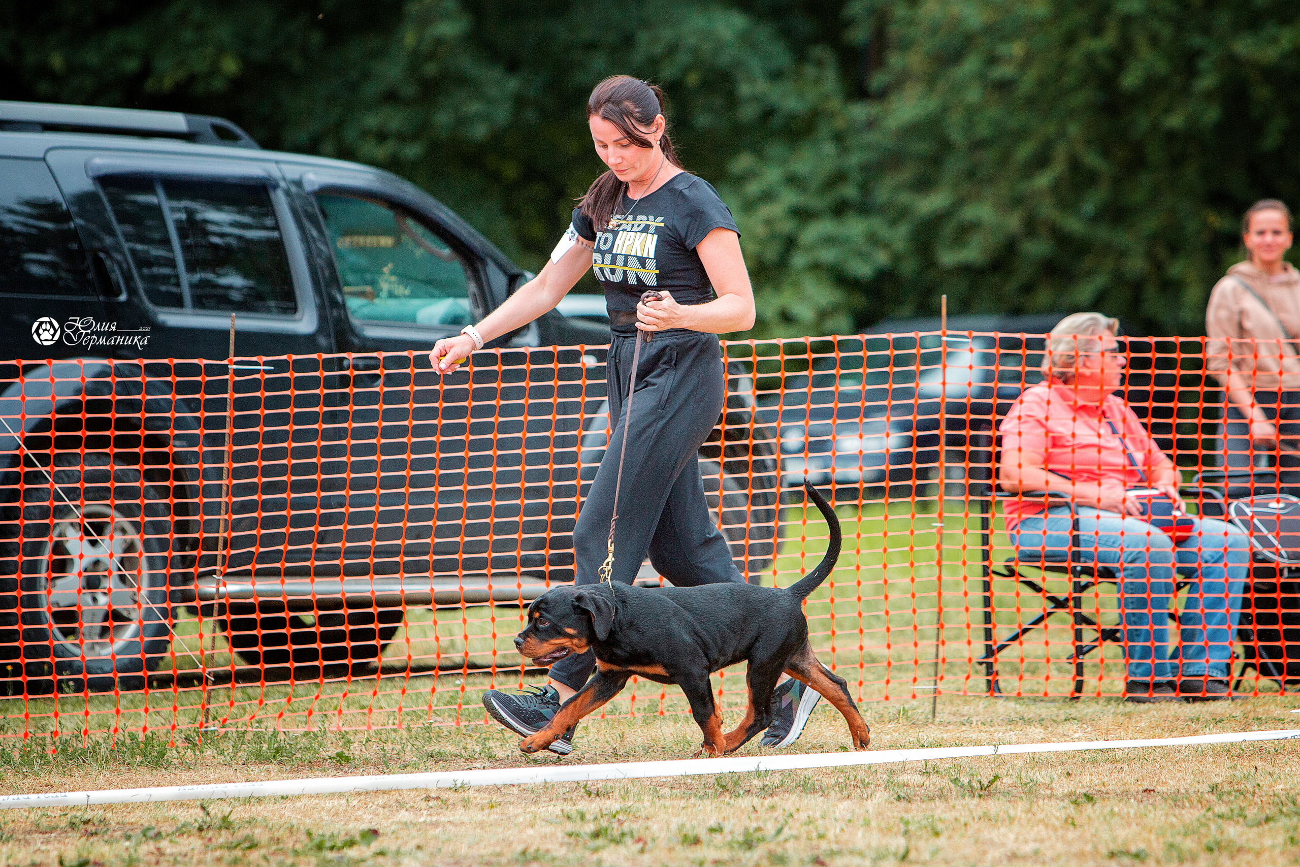 Монопородная выставка ротвейлеров Питер. Фотограф-анималист Юлия Германика