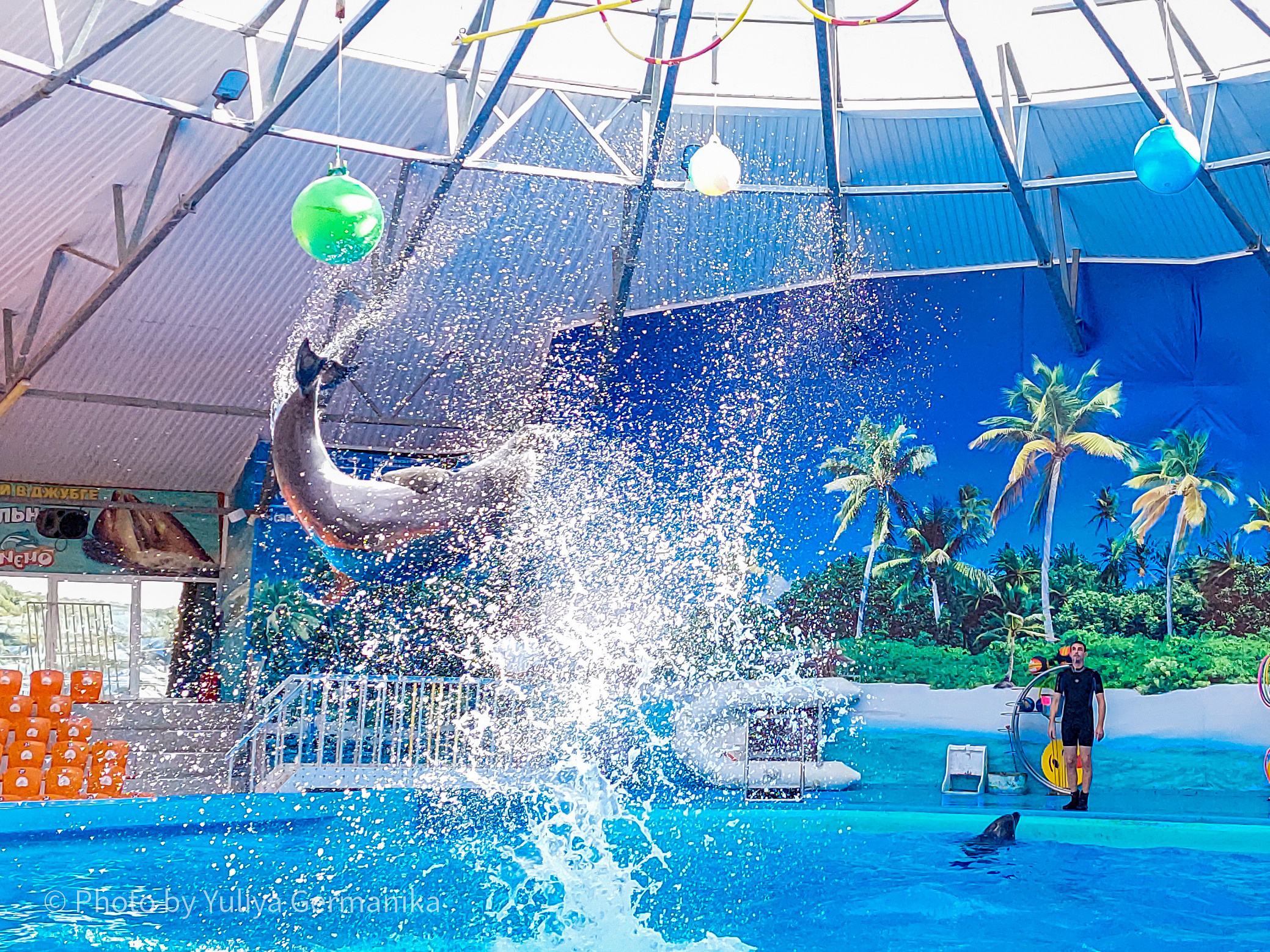 Разные фото на телефон.Города,природа. Фотограф-анималист Юлия Германика