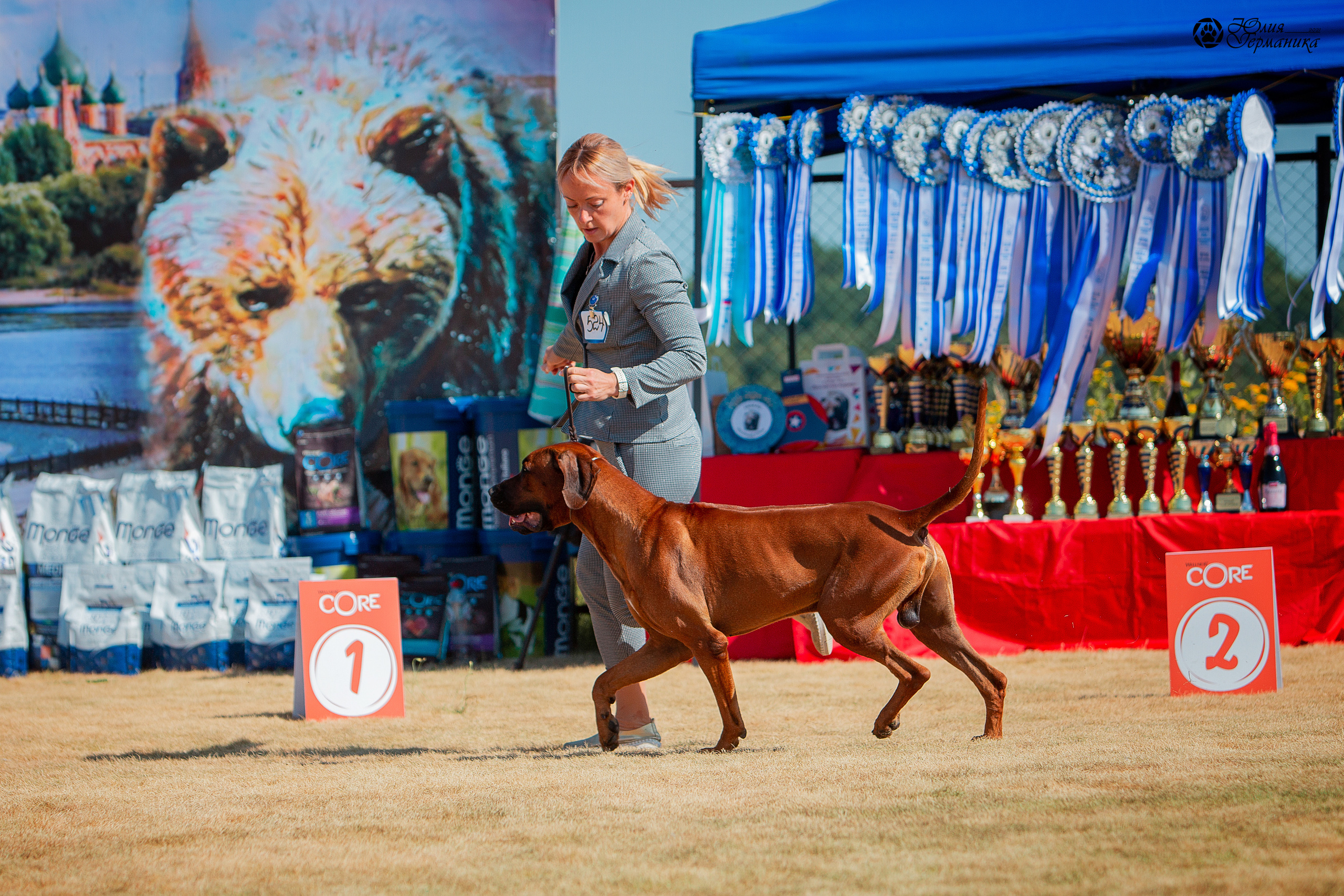 Ярославль CACIB 18 июля 2021. Фотограф-анималист Юлия Германика