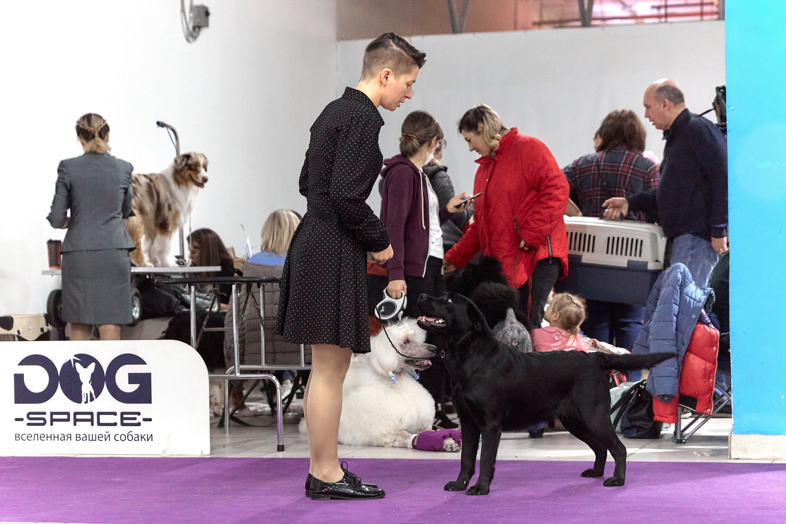 Чайник  13-14 ноября 2021. Фотограф-анималист Юлия Германика