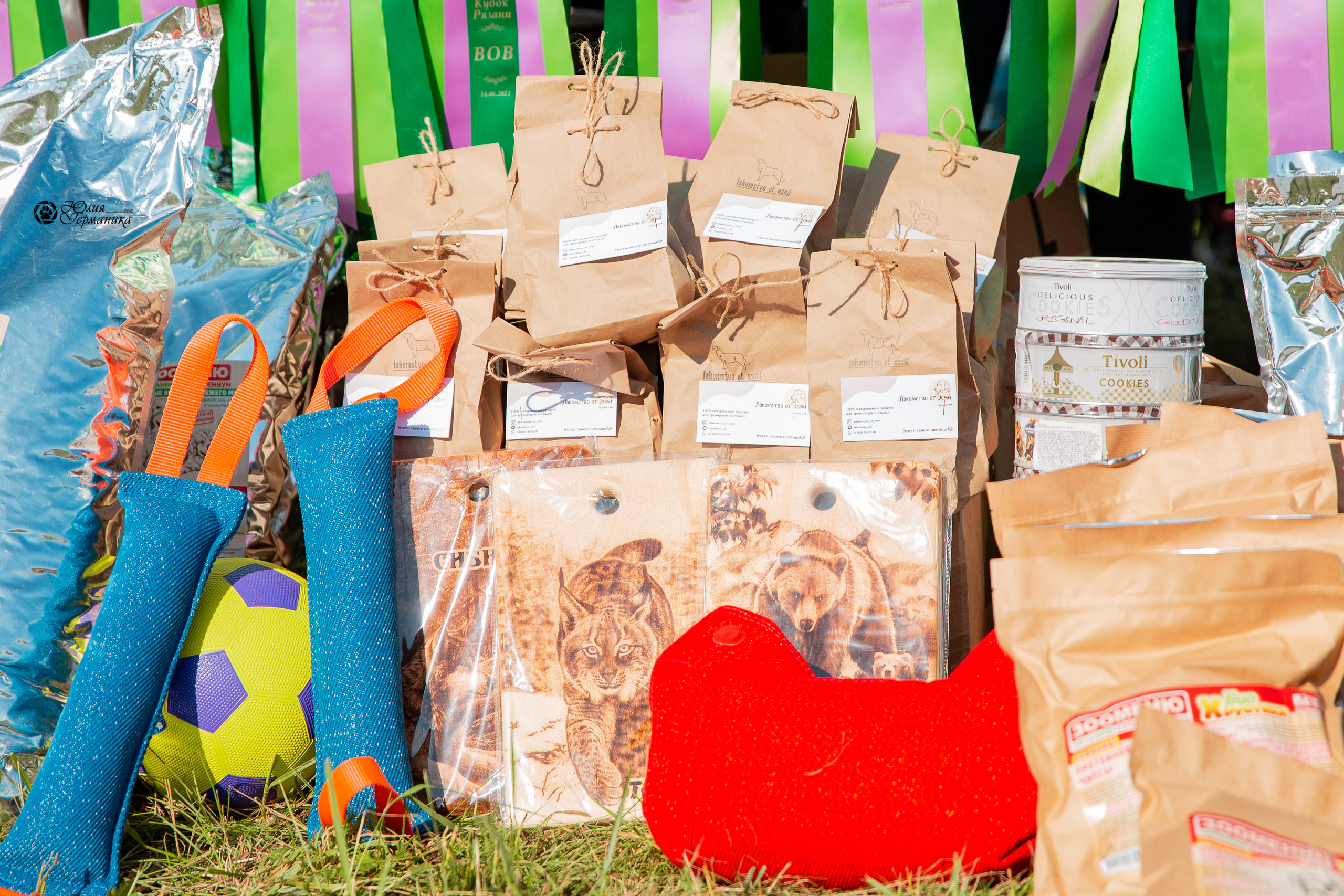 Рязань,Ховрино 14-15 августа 2021 моно ротвейлеров. Фотограф-анималист Юлия Германика