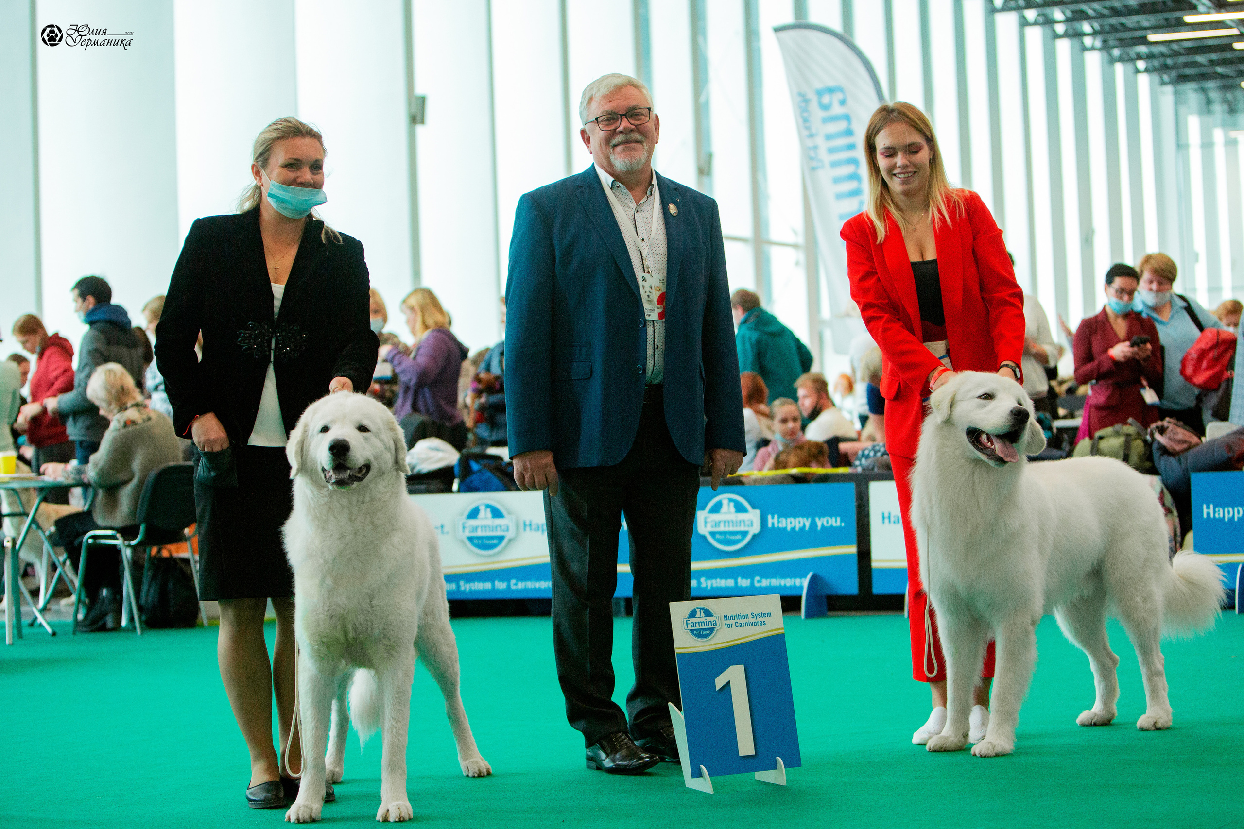 Нижний Новгород 3хCACIB 15-17 октября 2021. Фотограф-анималист Юлия Германика