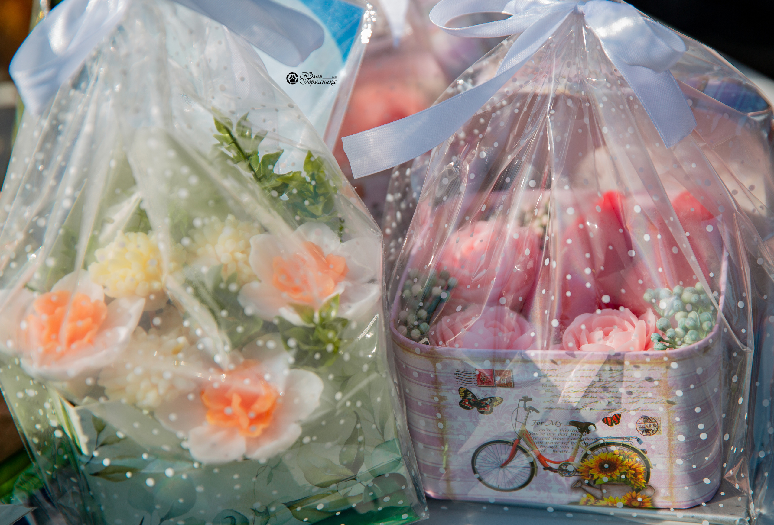 Рязань,Ховрино 14-15 августа 2021 моно ротвейлеров. Фотограф-анималист Юлия Германика