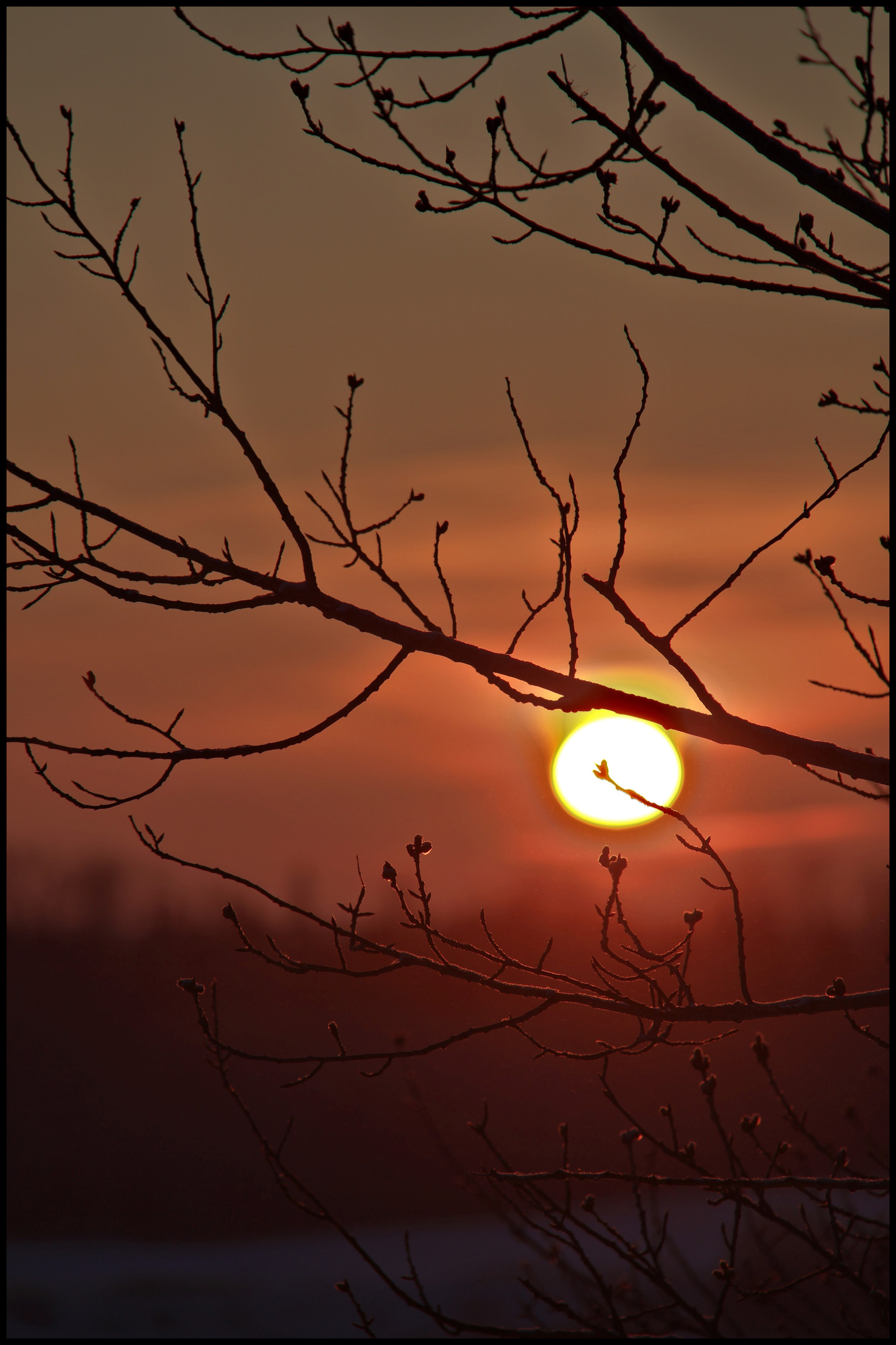 Пейзажное фото. Ню Фотограф Александр Касымов Москва, фотосессии, Химки фотограф