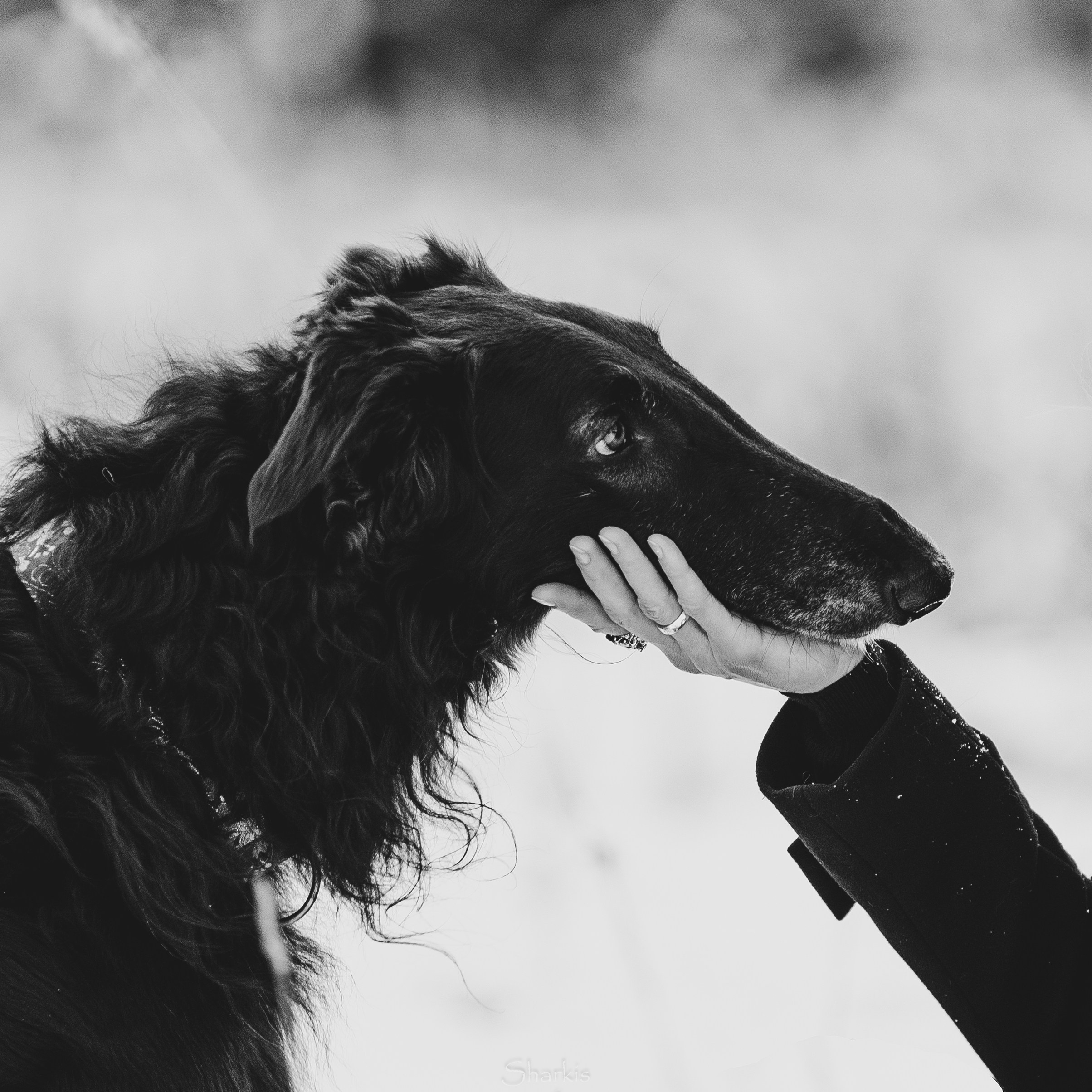 Катя и Гримм. Главная