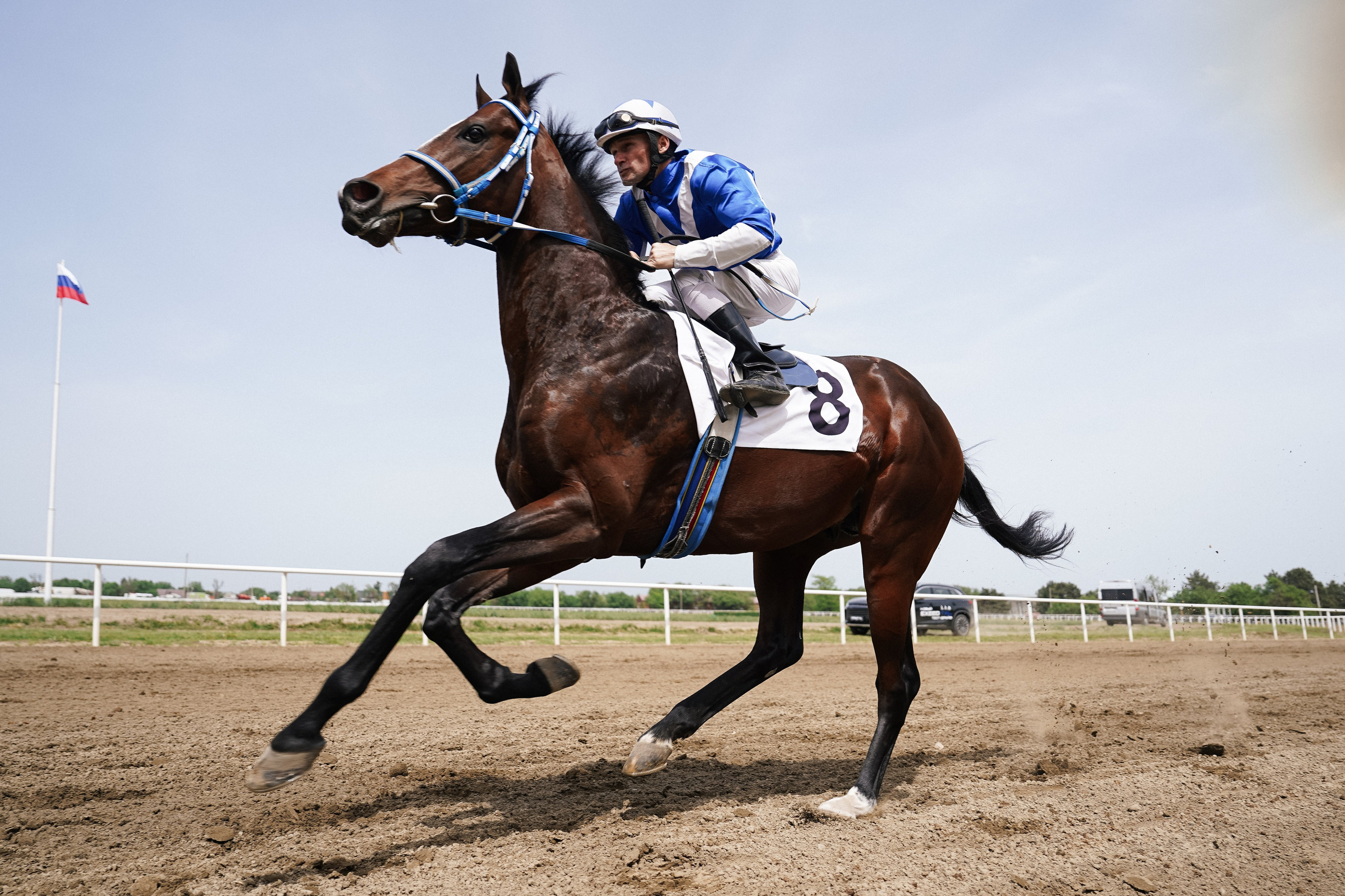 Скачки. Фотограф с психологическим образованием