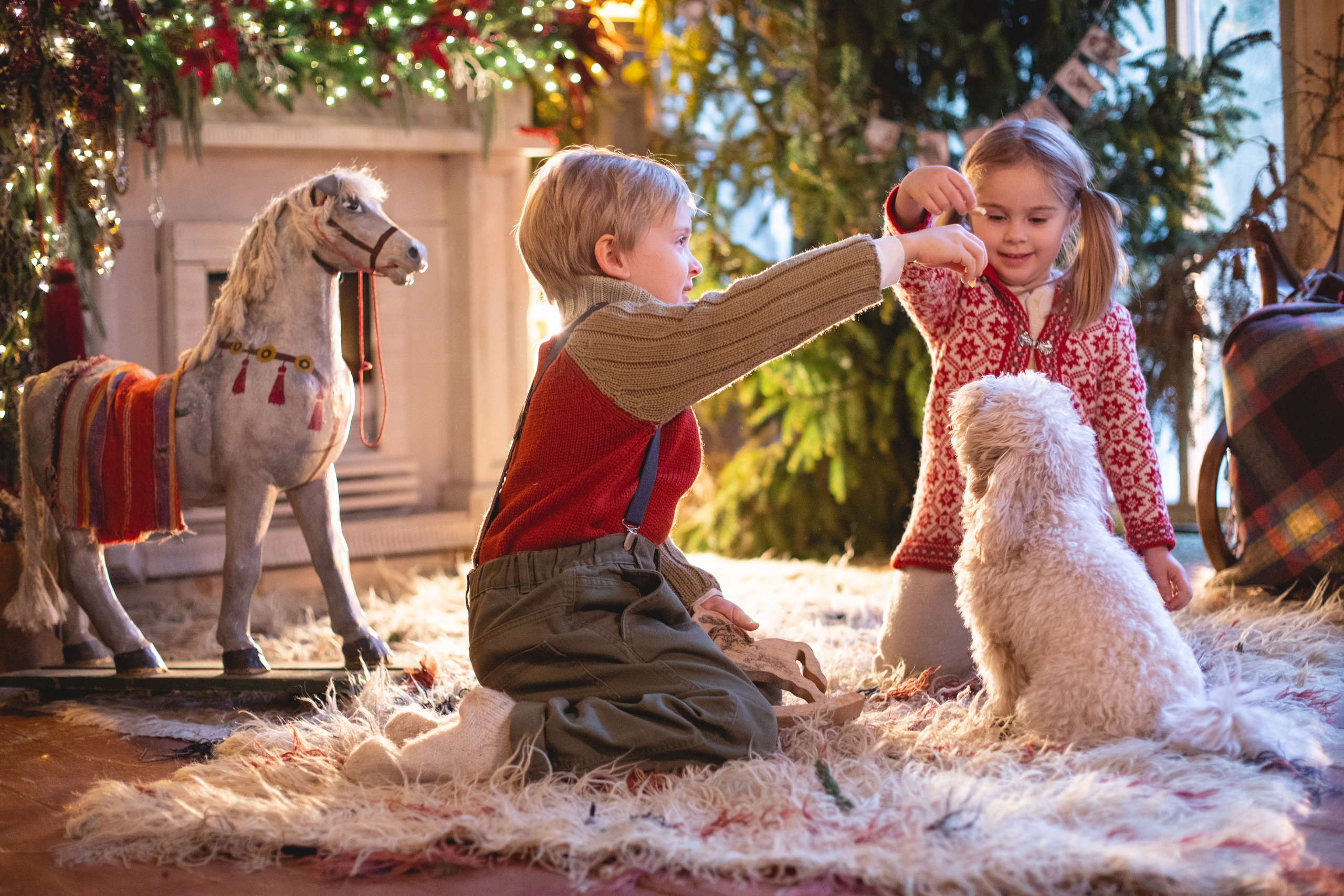 Домик в лесу. Семейный фотограф в Москве Анастасия Гурьянова