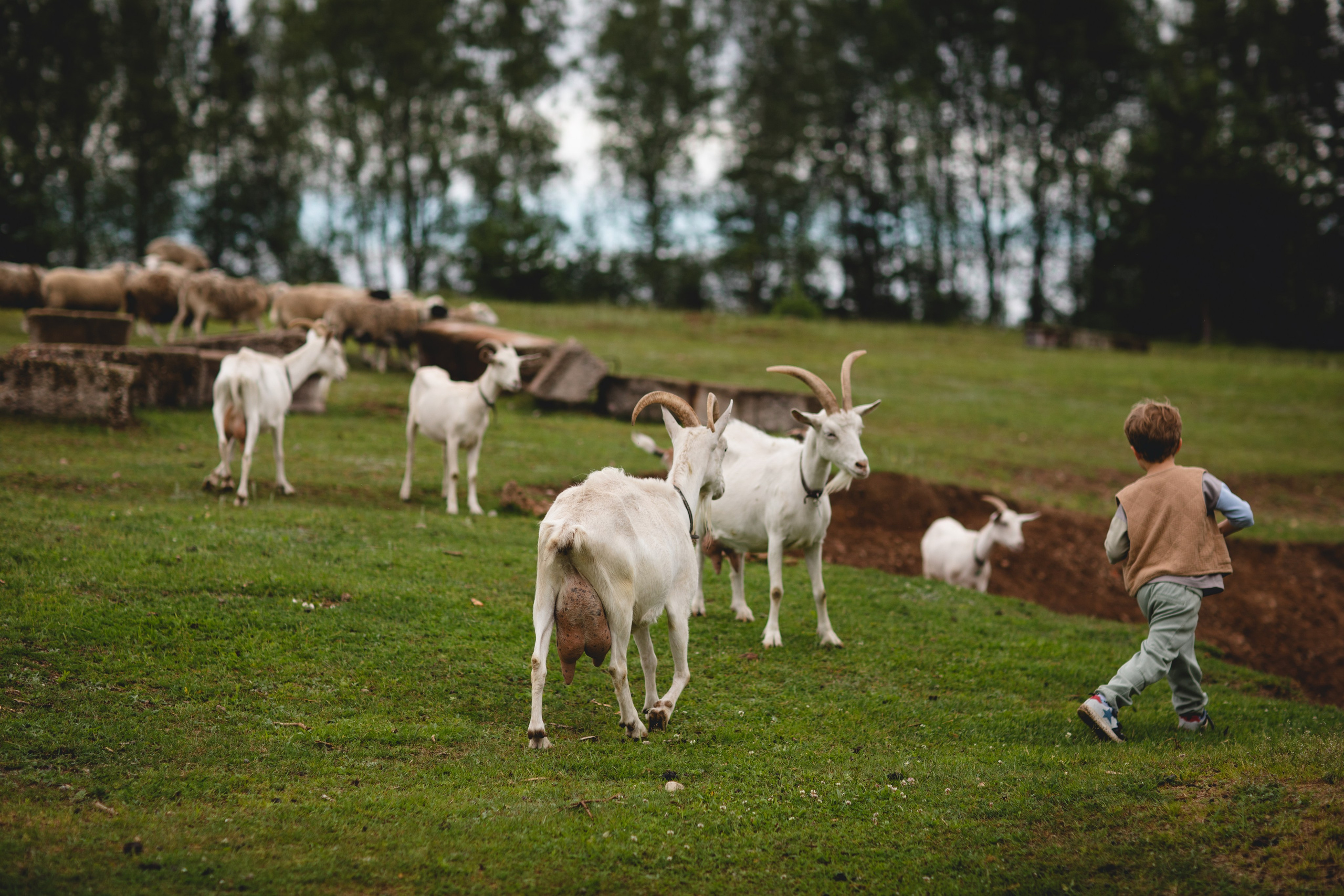 Фототуур «Край озёр» Лето. Семейный фотограф в Москве Анастасия Гурьянова