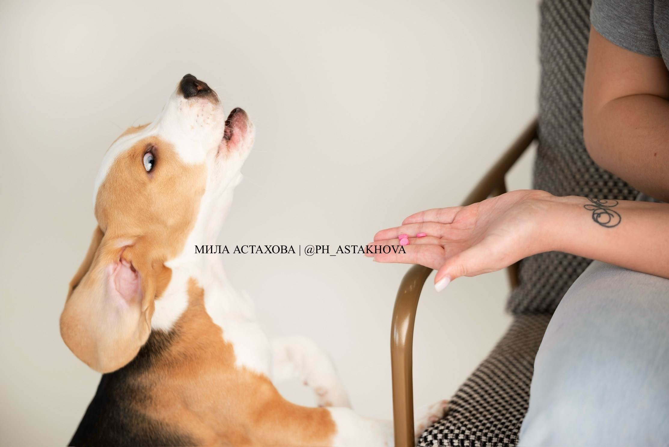 Nita-Farm. Мила Астахова