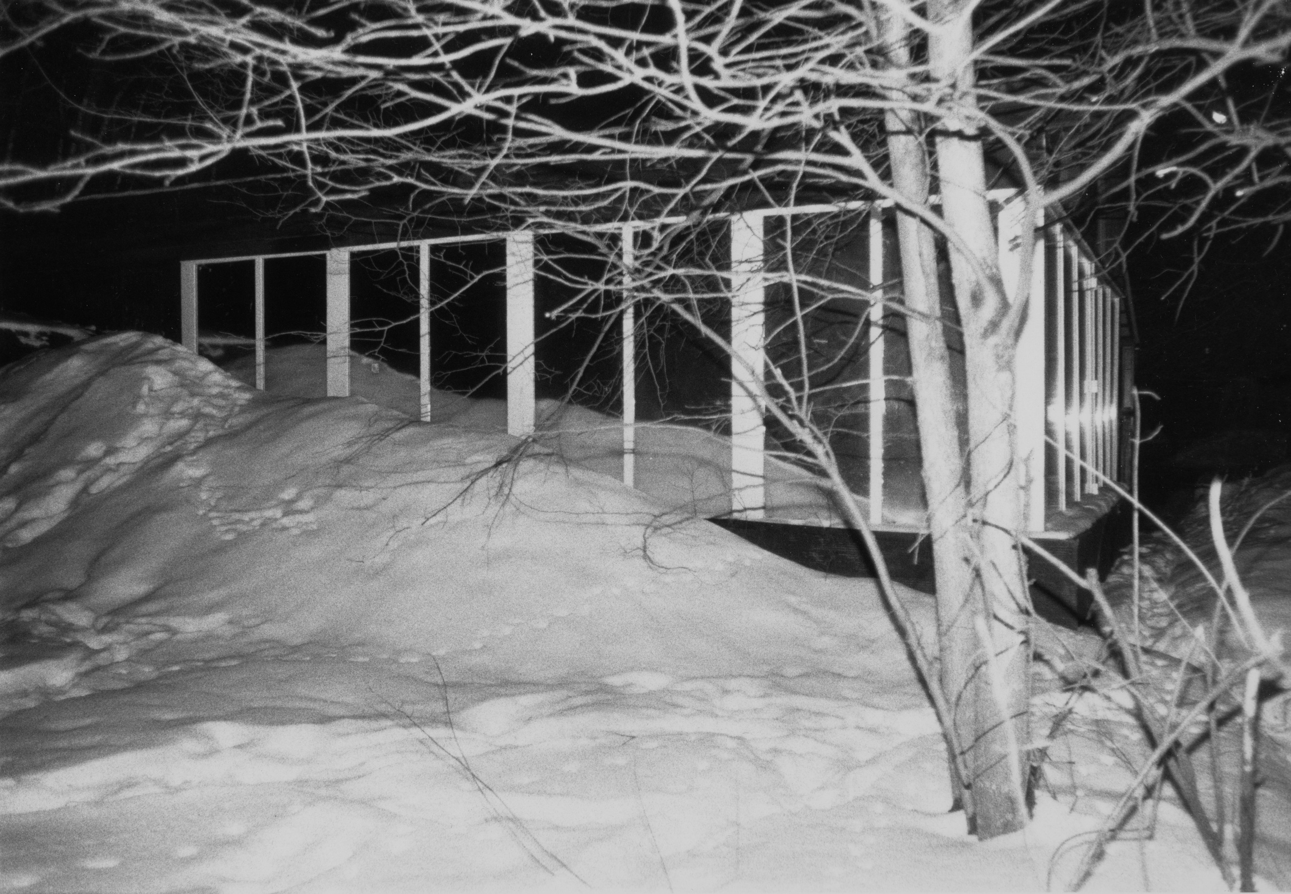 Prints. Maria Abdullaeva