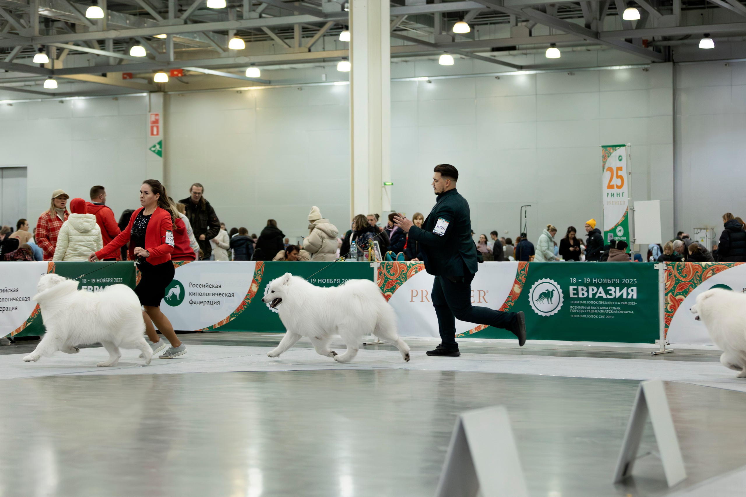 Евразия 2023. Фотограф анималист в Москве Майорова Евгения