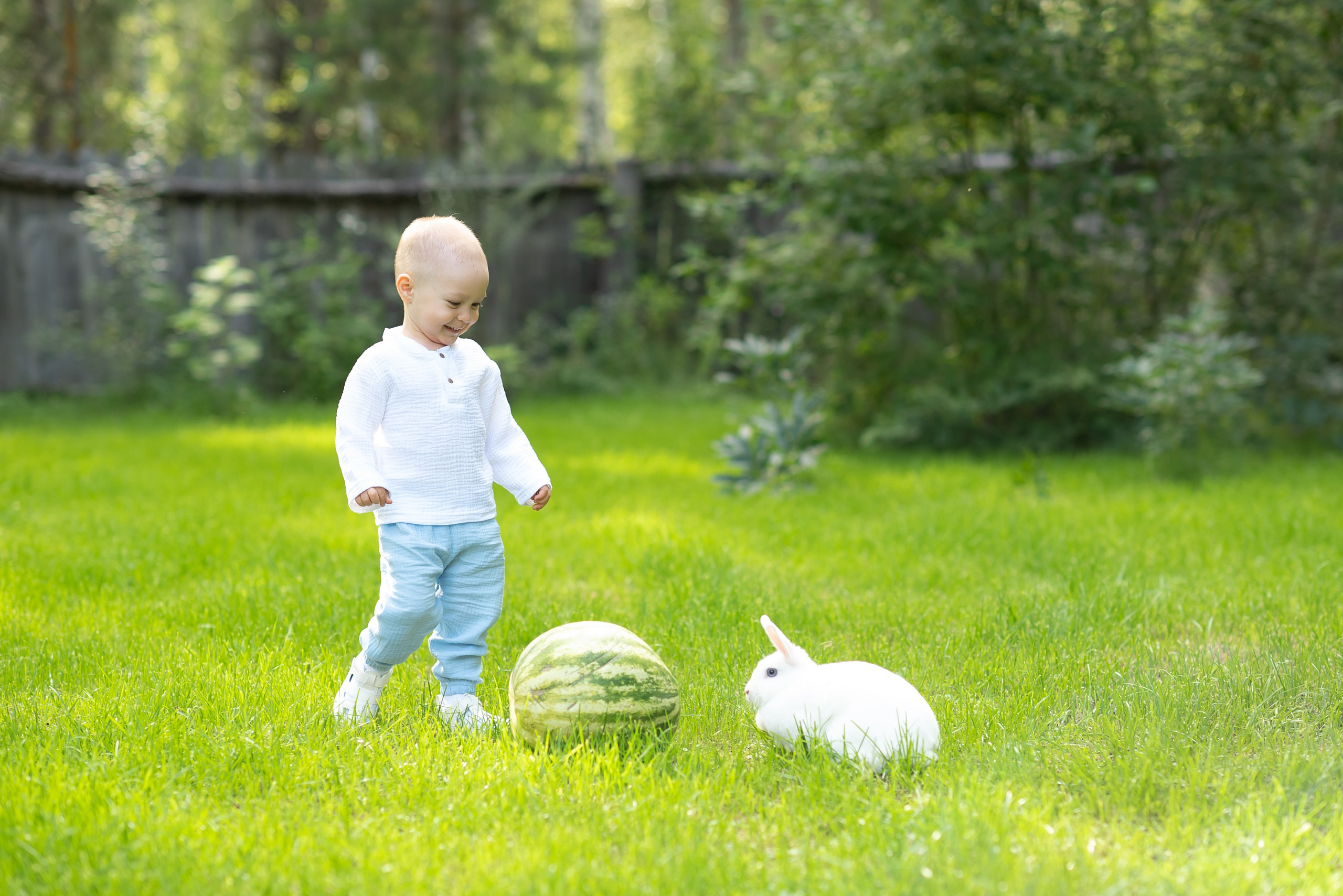 Фотостудия Лес Чудес. Фотограф Мария Усманова, Казань