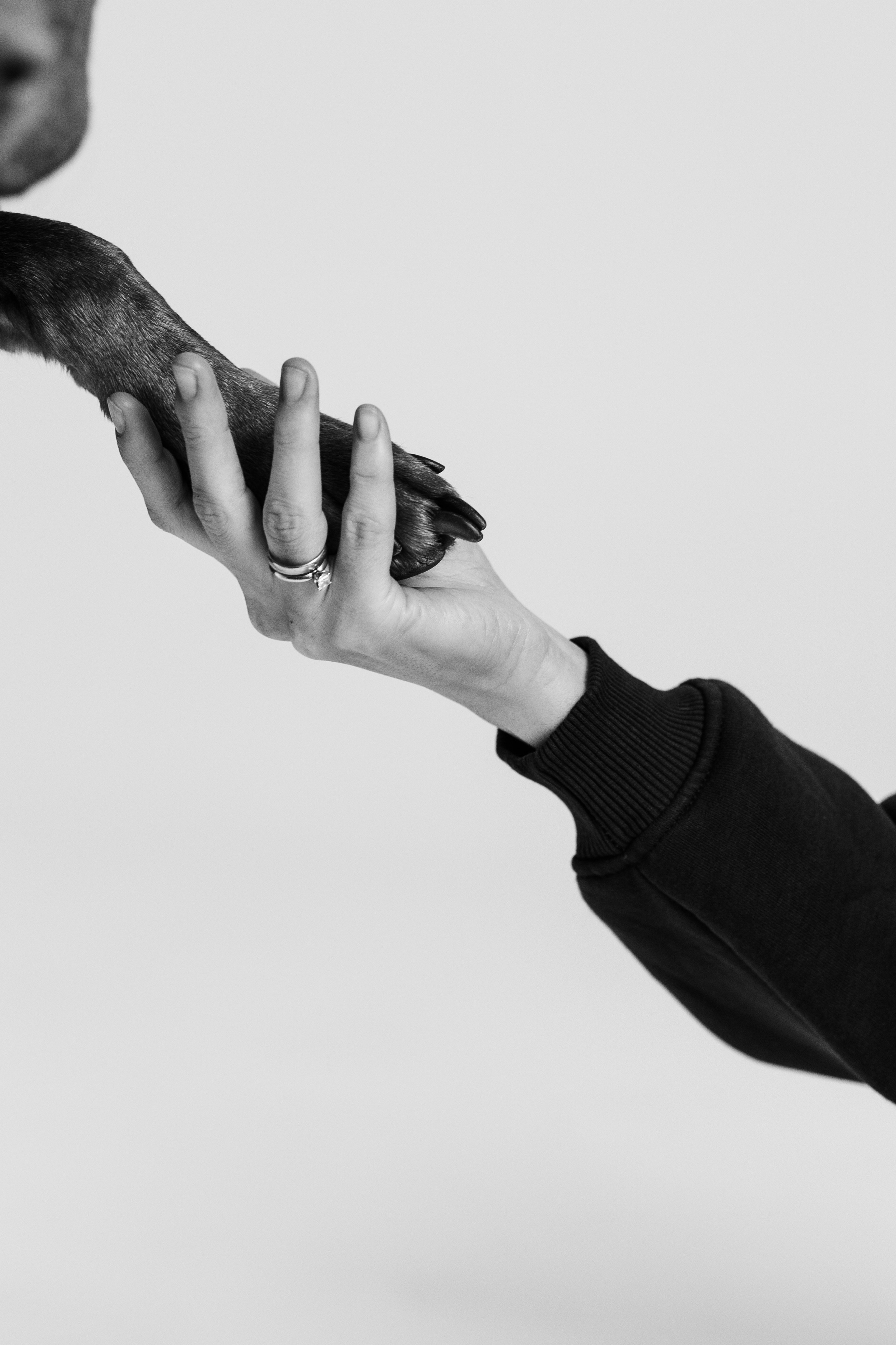 Портретная съемка. Фотограф Анапа. Екатерина Gladysha