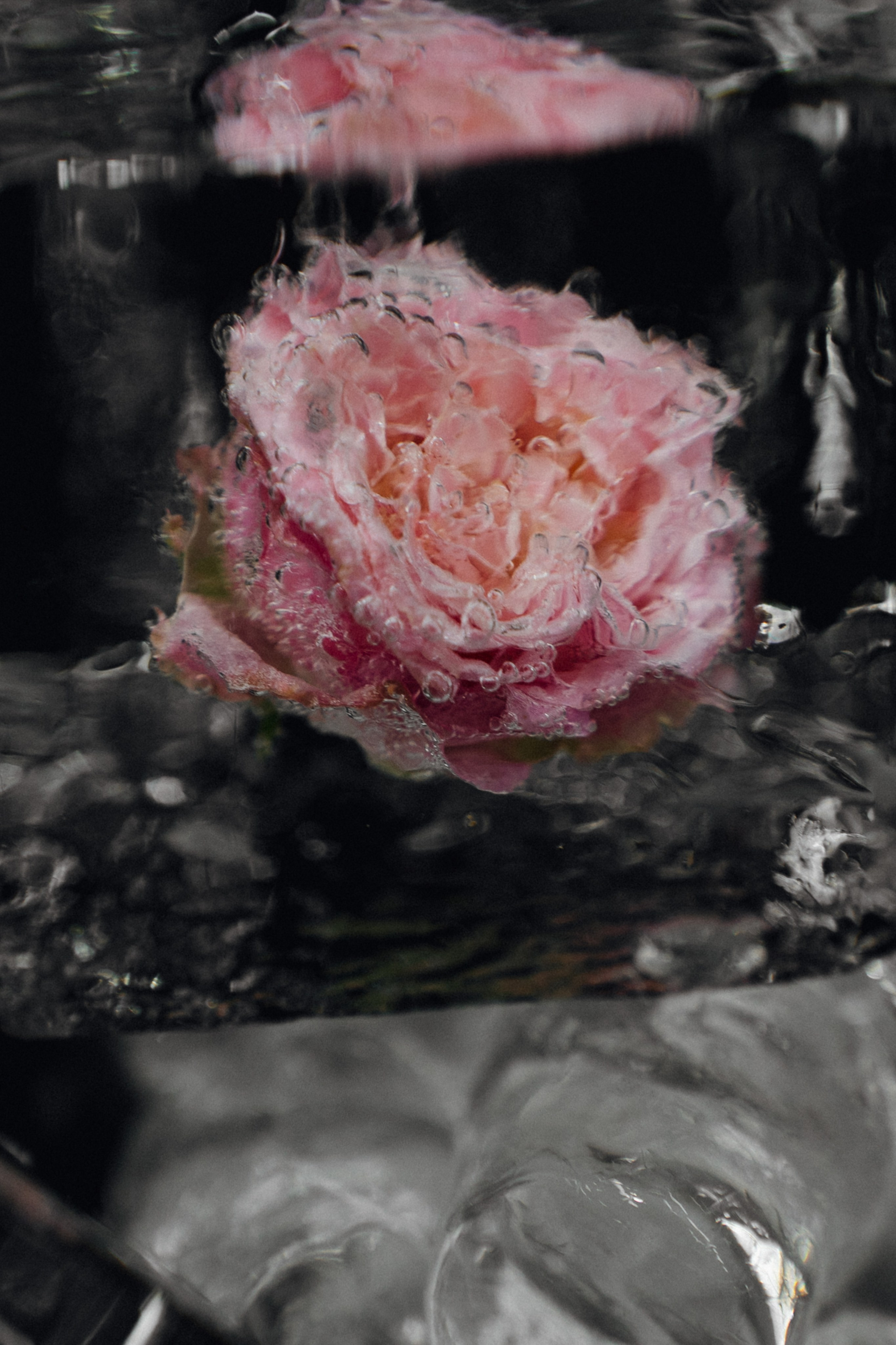 Открытие BT. Свадебный фотограф в Краснодаре и Сочи Винидиктова Екатерина