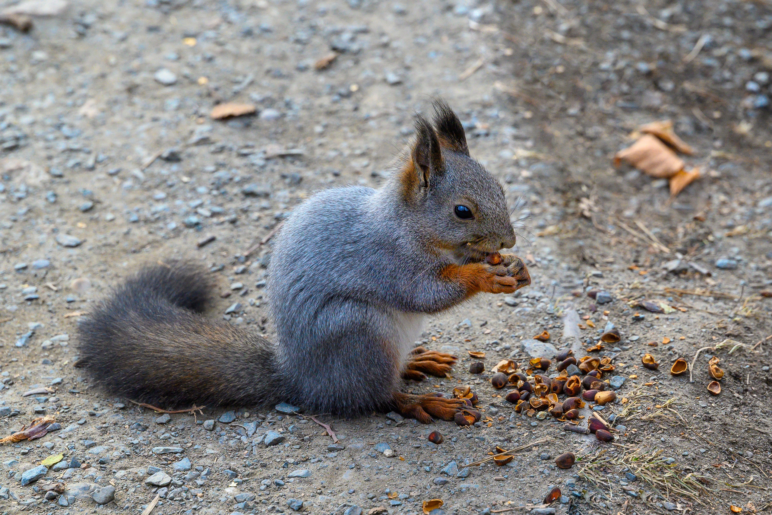 Осень. FotoGraf