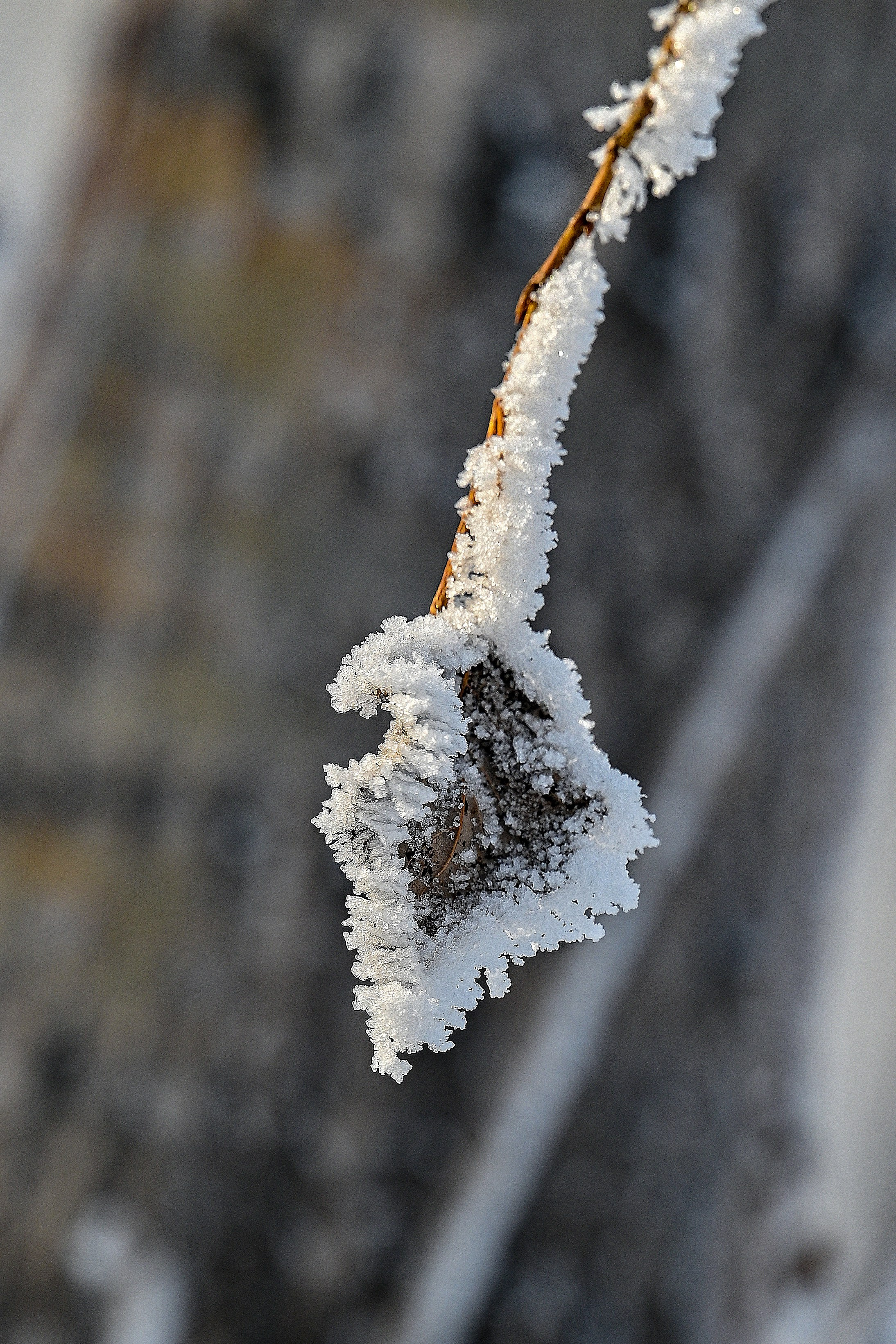 Сибирская зима прекрасна!. FotoGraf