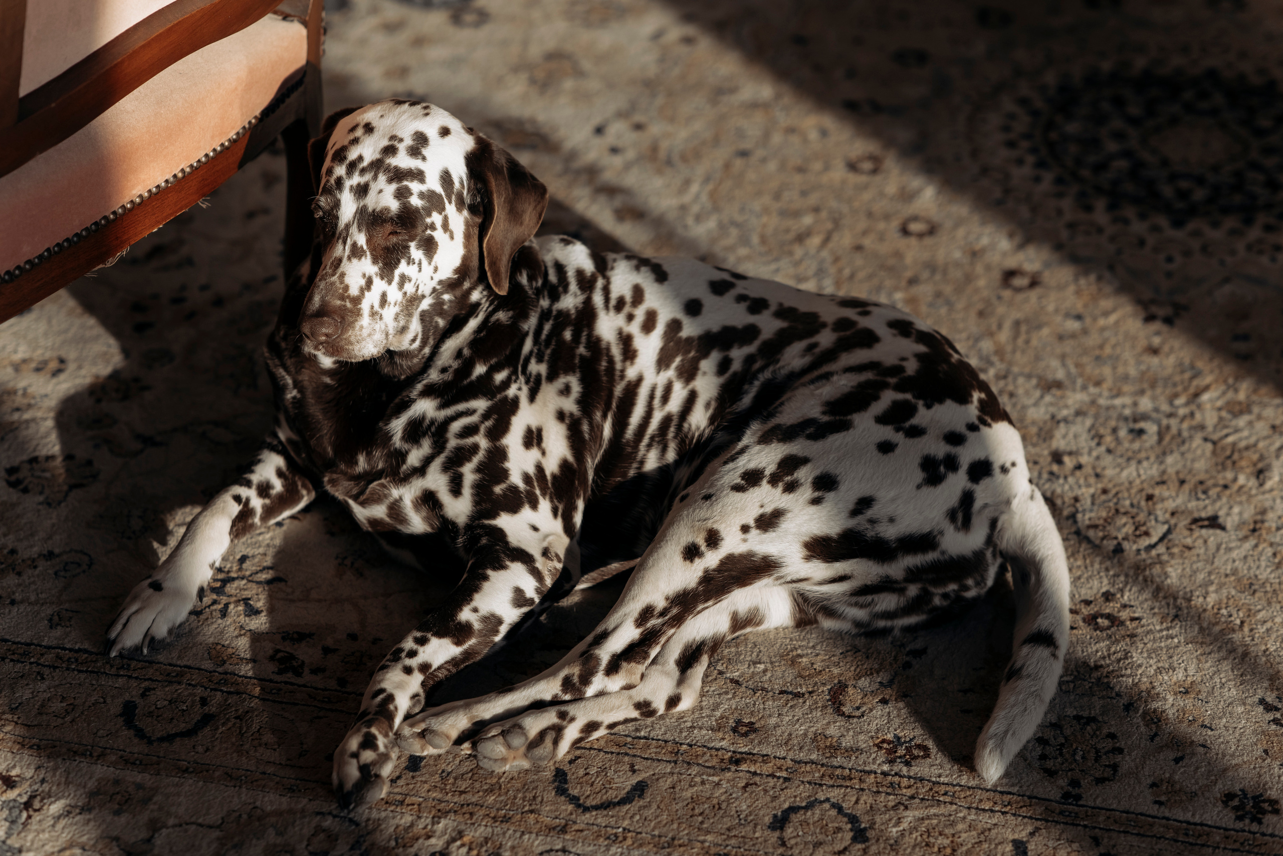Семен Арина. Свадебный фотограф в Краснодарском крае Карина Будниченко