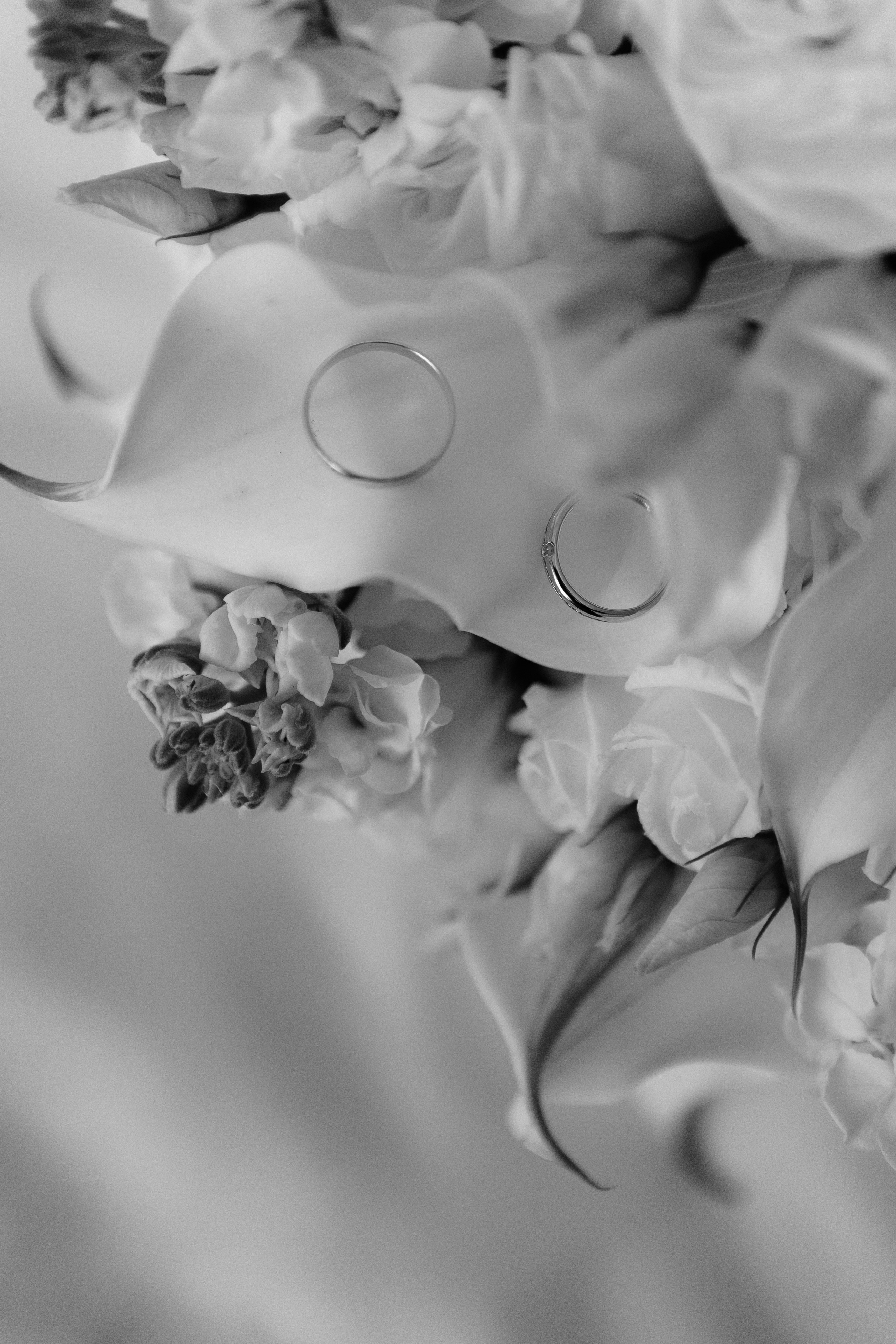 Свадьба Олега и Кристины. Фотограф Кольчугино/Владимир/Москва Елизавета Иода