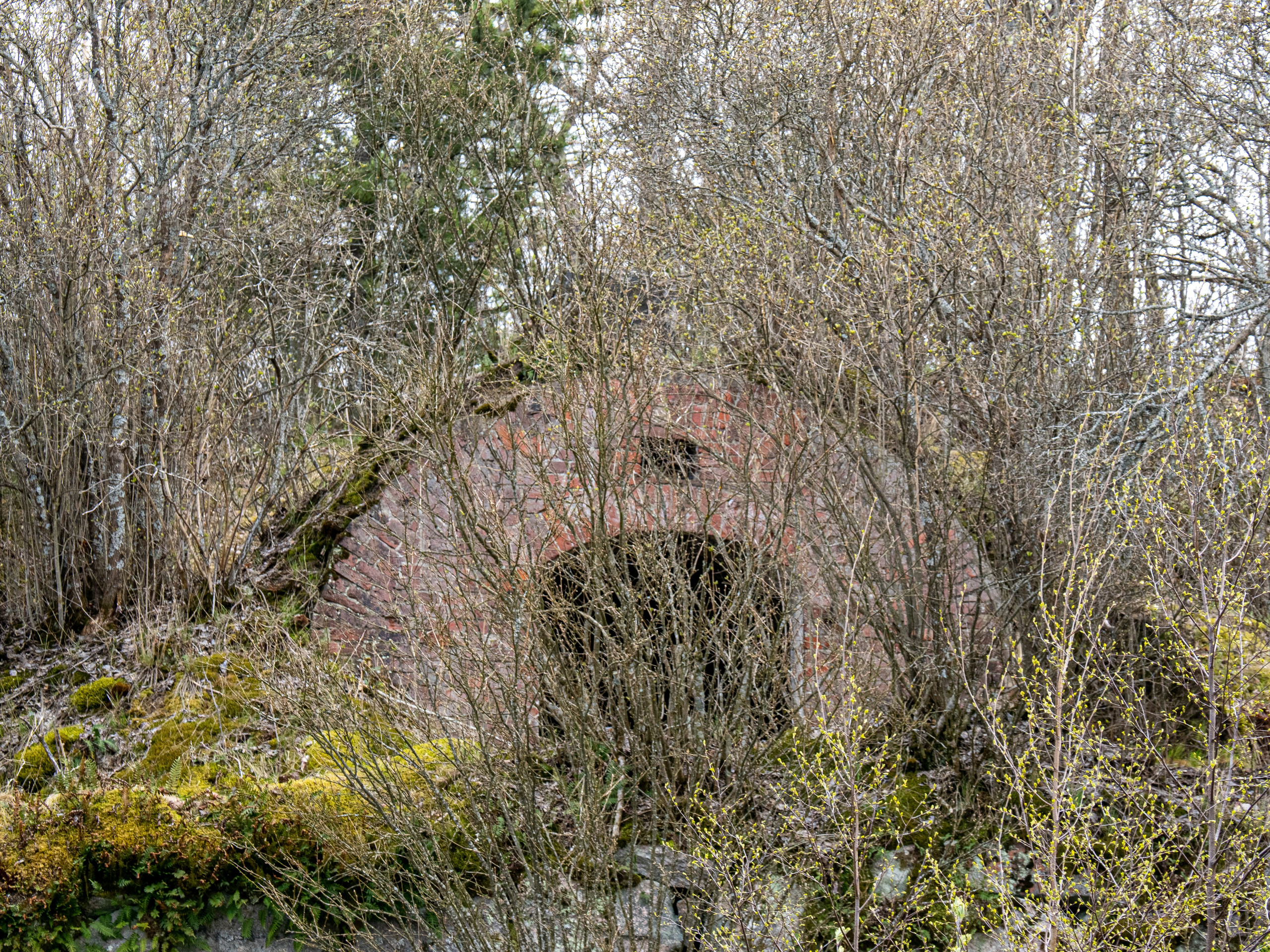 Кронштадт-Сортавала-Валаам-Выборг. Творческие сьемки