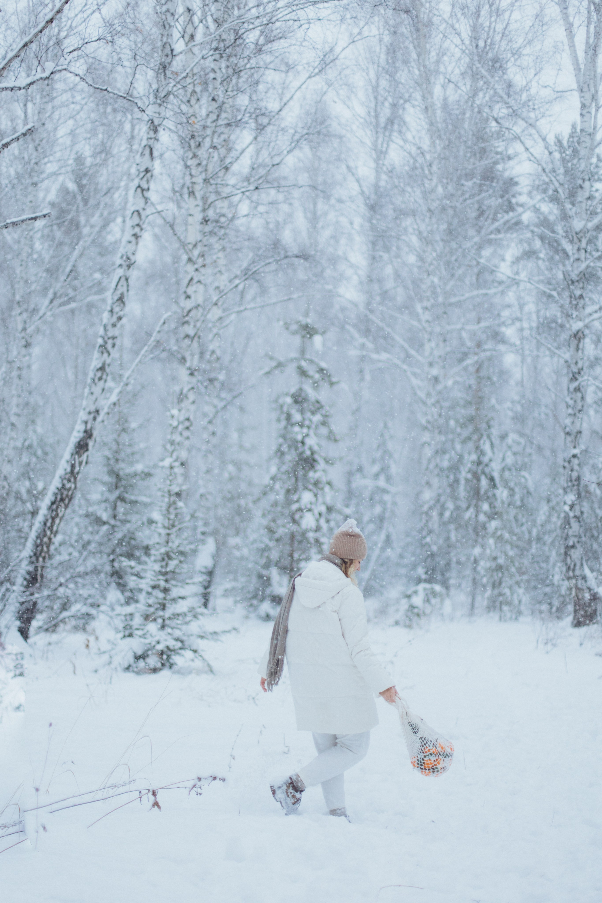 Зимняя история