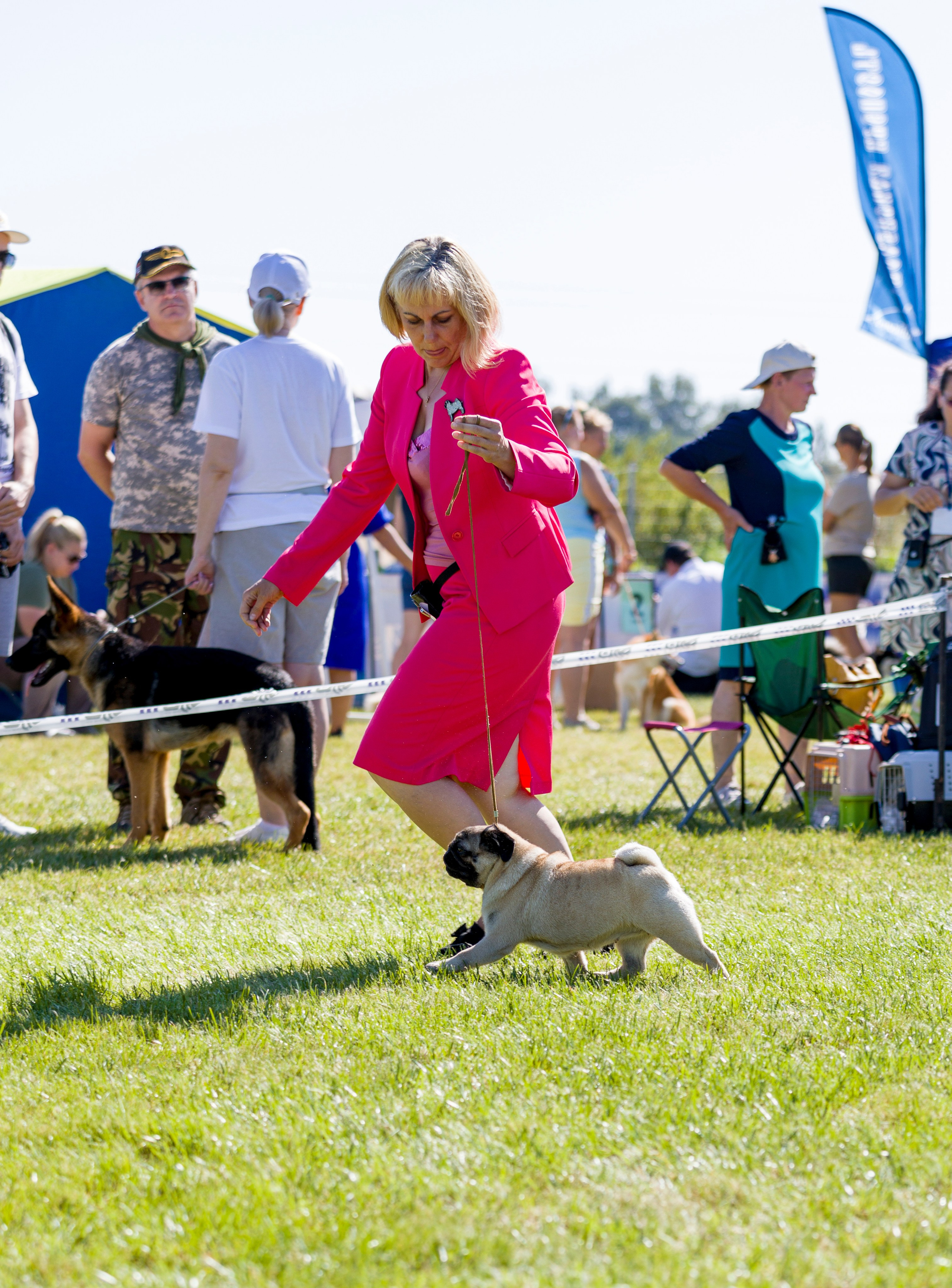 Выставки. Фотограф — анималист Татьяна Ли