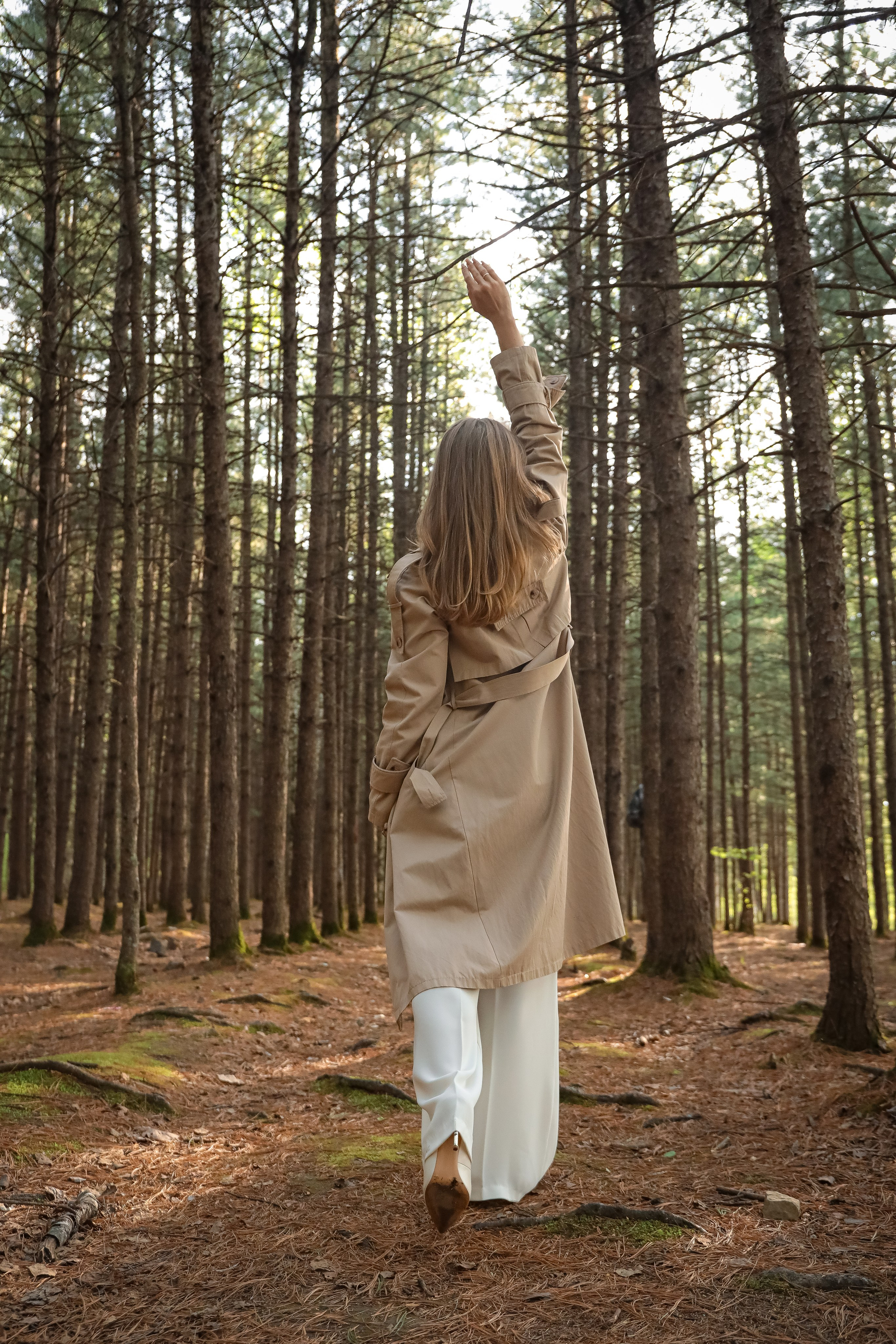 В сосновом лесу. Фотограф г. Хабаровск. Семейные и индивидуальные съёмки