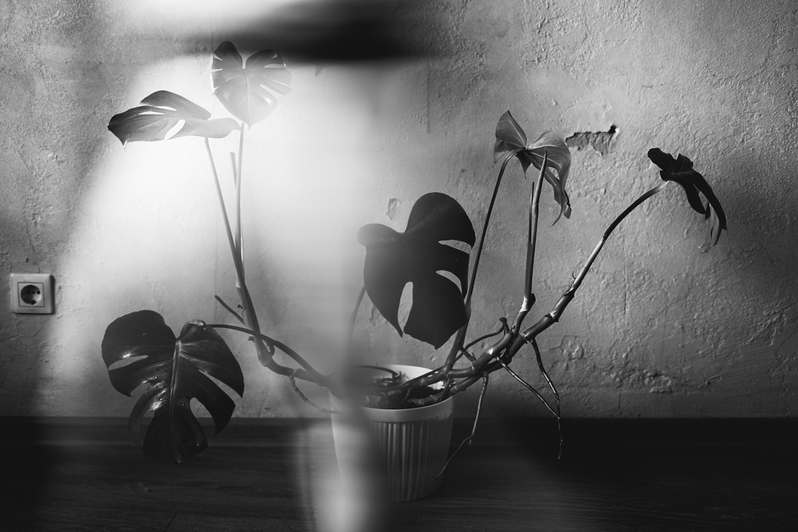 Book. M a s h a T k a c h e n k o