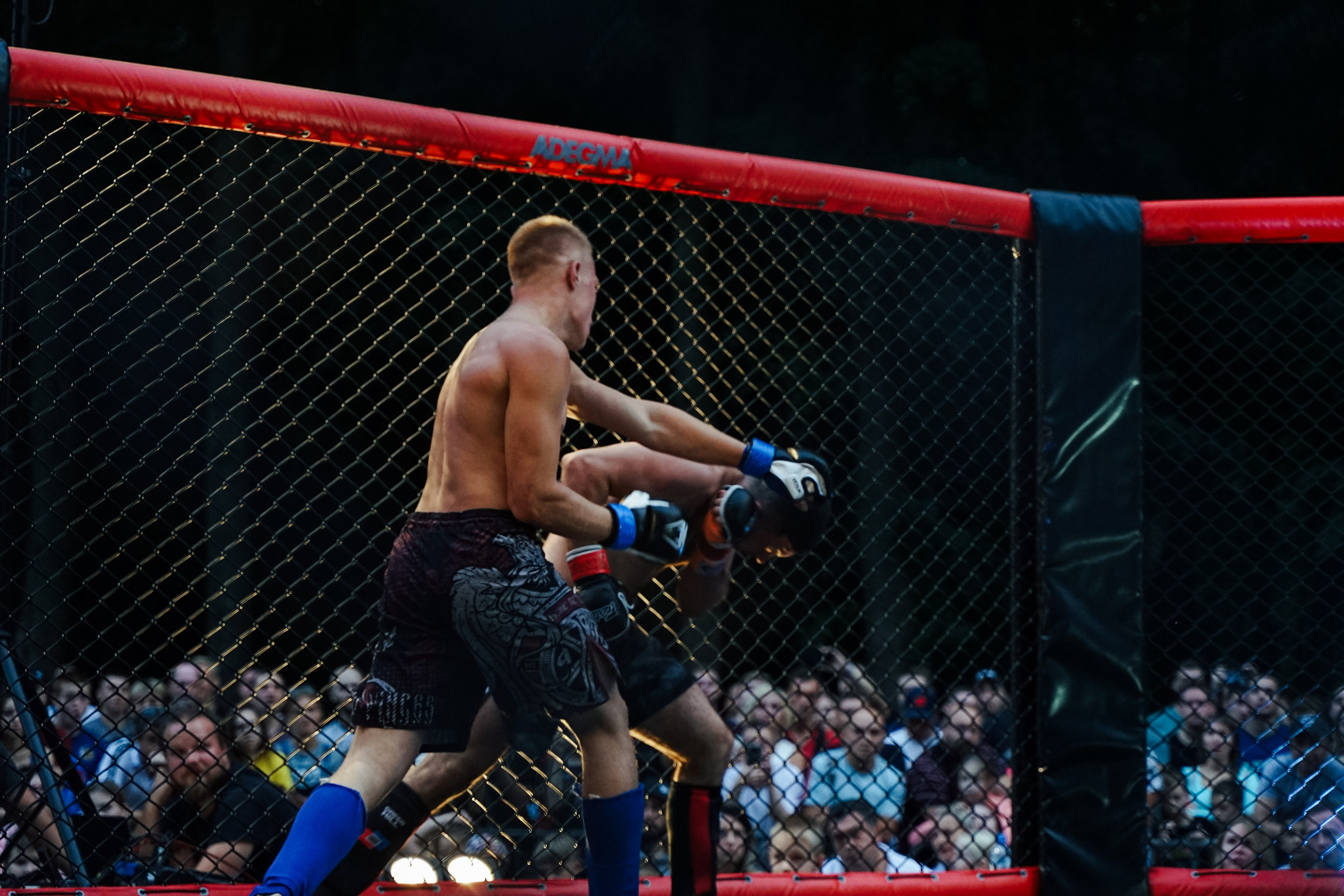 Вечер боев в ЦПКиО. Фотограф Надежда Погребняк | Рязань | Москва