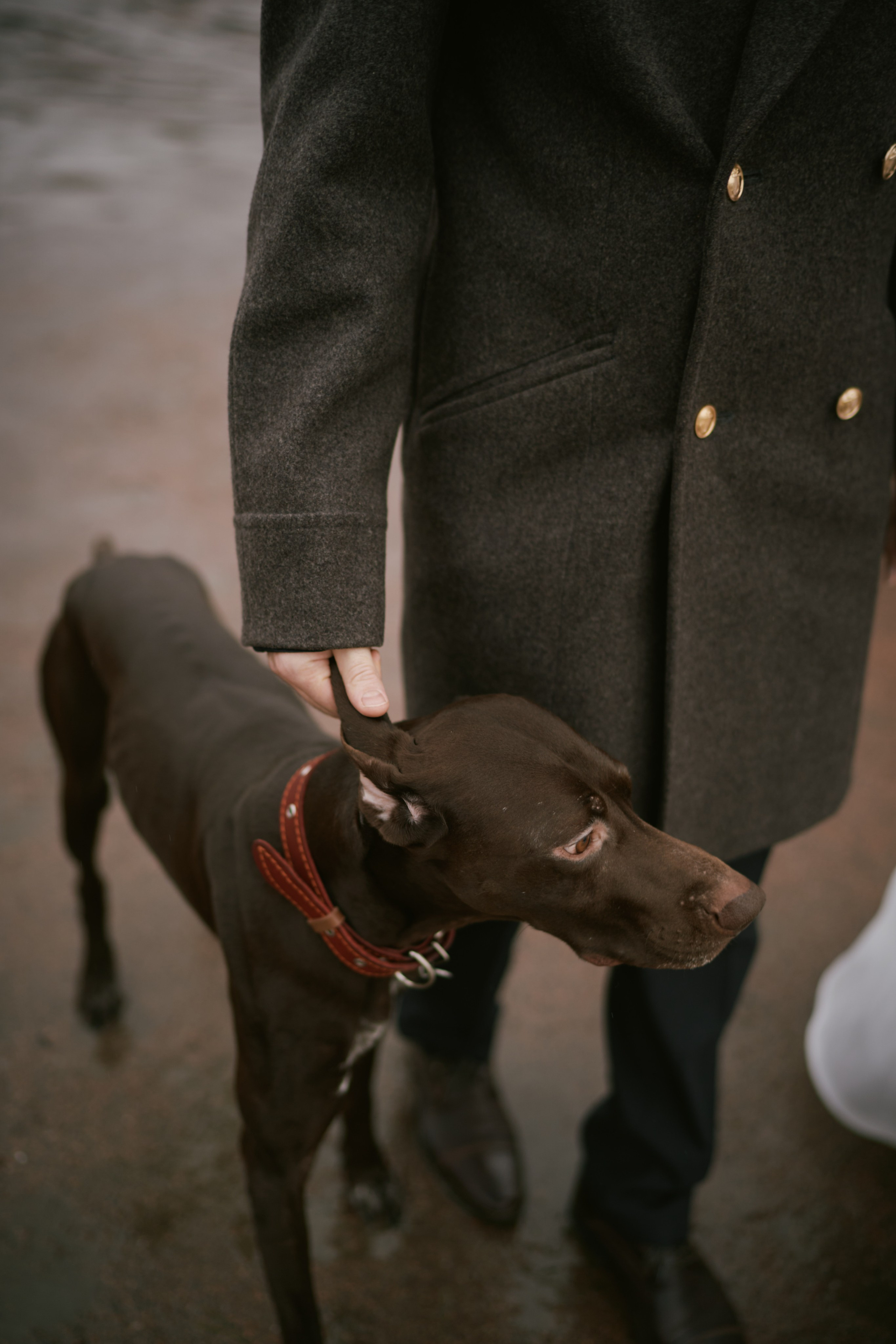 Наташа и Антон. Фотограф в Санкт-Петербурге | Аня Маленчук