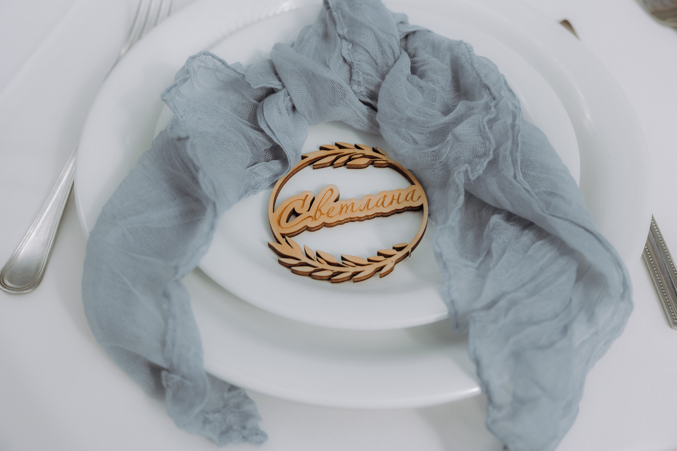 VLAD_VLADA (PARK_HOTEL_ROSENDORF). Фотограф Андрей Ширкалин Москва Московская обл, Коломна, Рязань