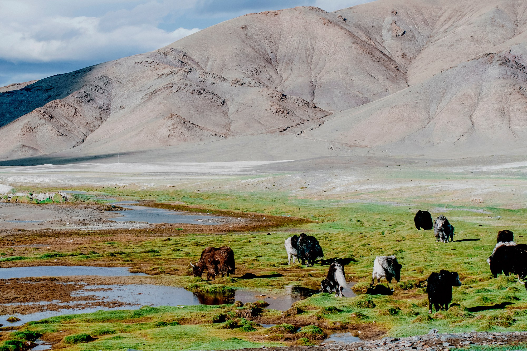 Mongolia landscape. Iraogo