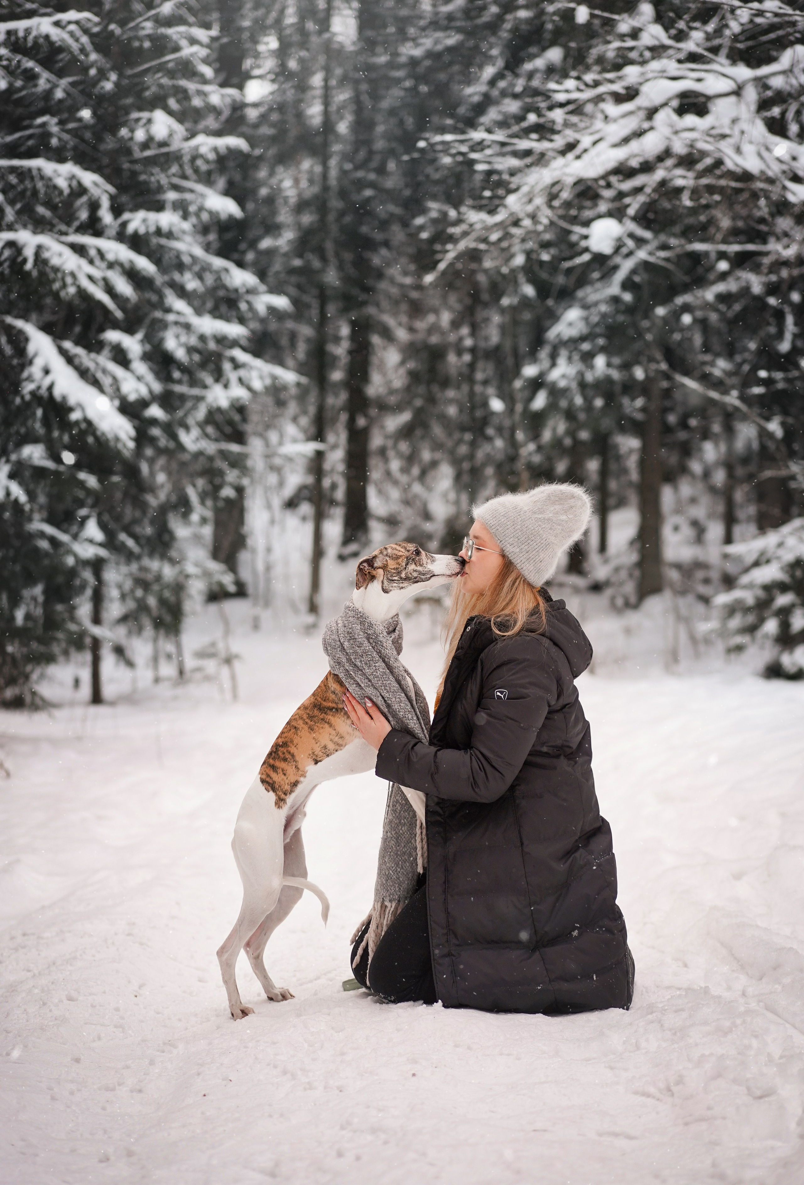 Даша Илья Вениамина и Мэдиссон. Фотограф-анималист в Санкт-Петербурге Яна Мартынова
