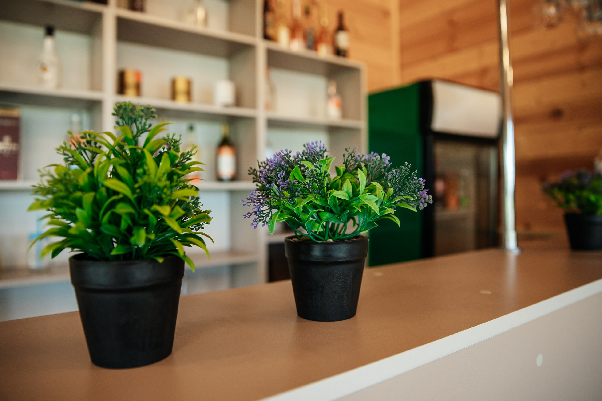 База отдыха в Тверской области. Кафе и развлечения. Фотограф недвижимости и контент-съемки в СПб