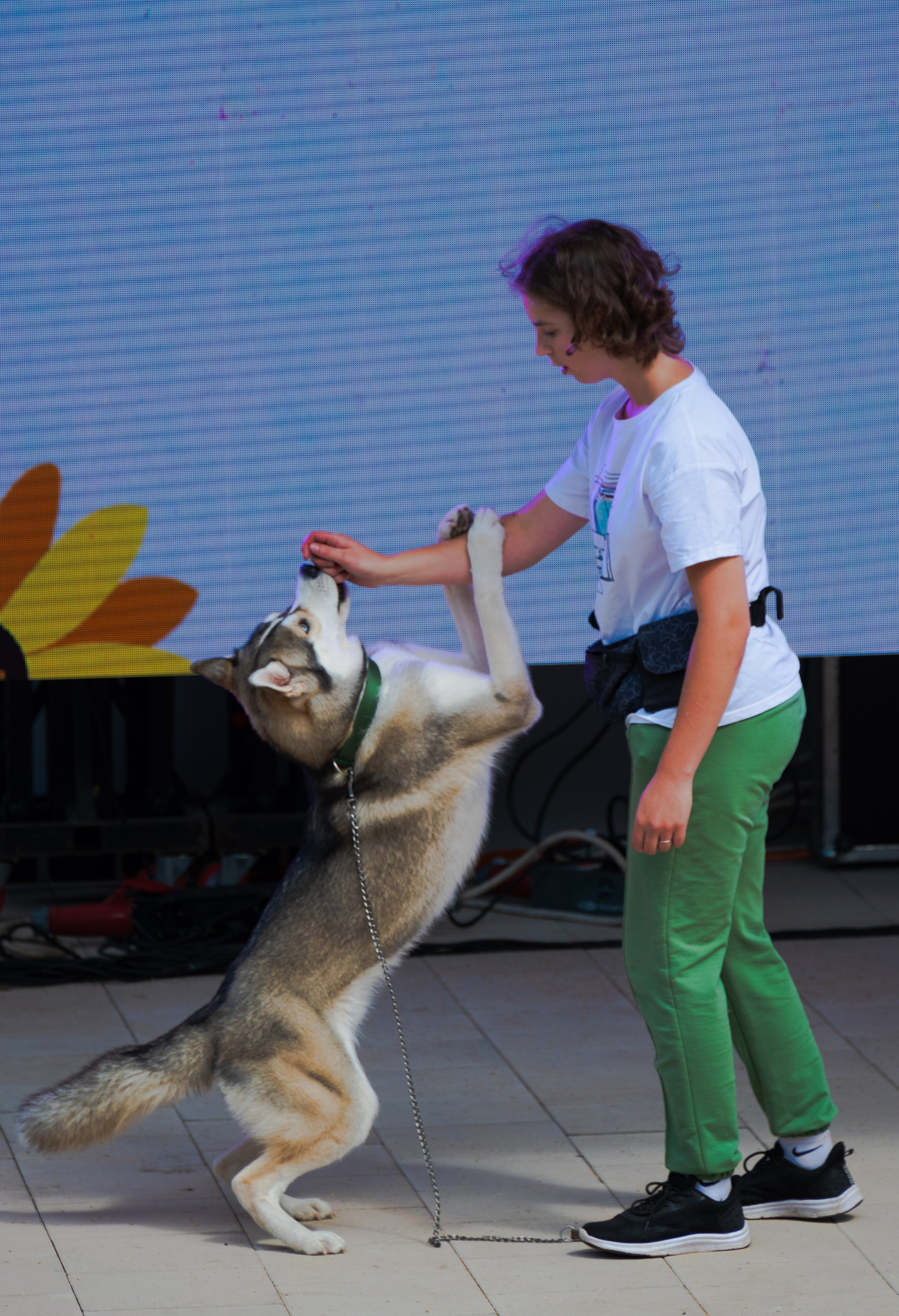 Pets Fest. Юлия Чайко, фотограф в Минске