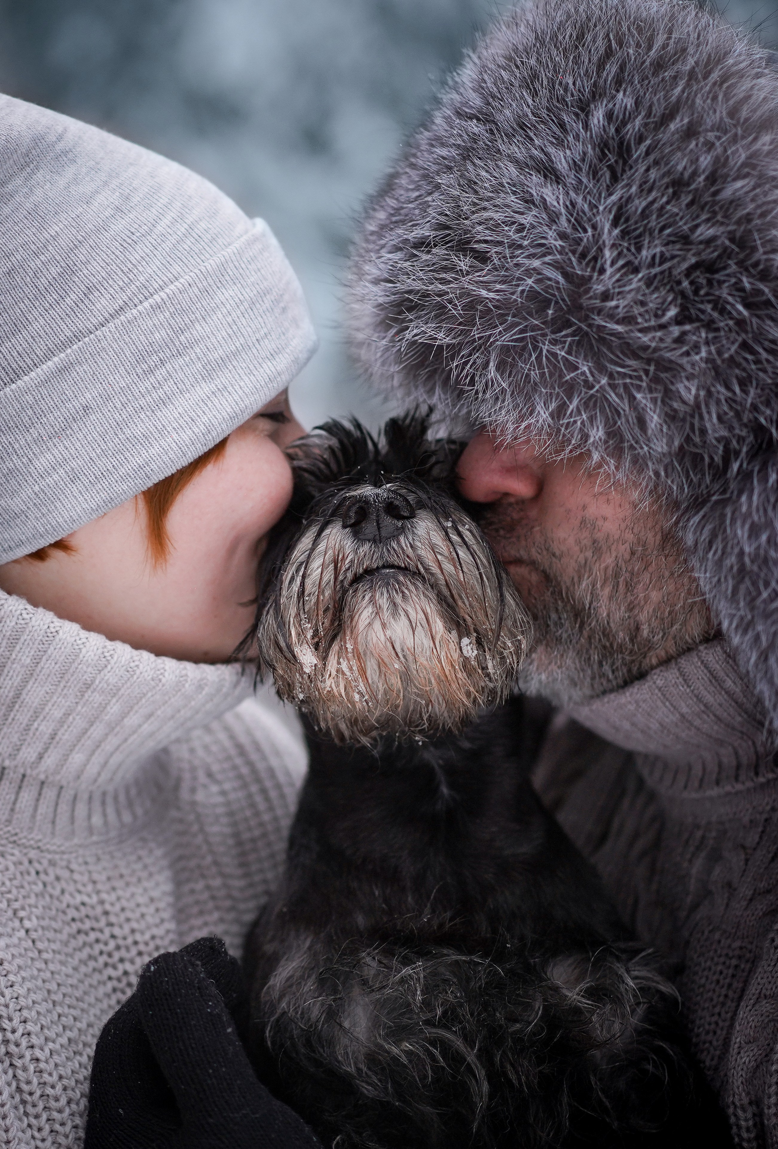 Оля Миша и шнауцеры. Фотограф-анималист в Санкт-Петербурге Яна Мартынова
