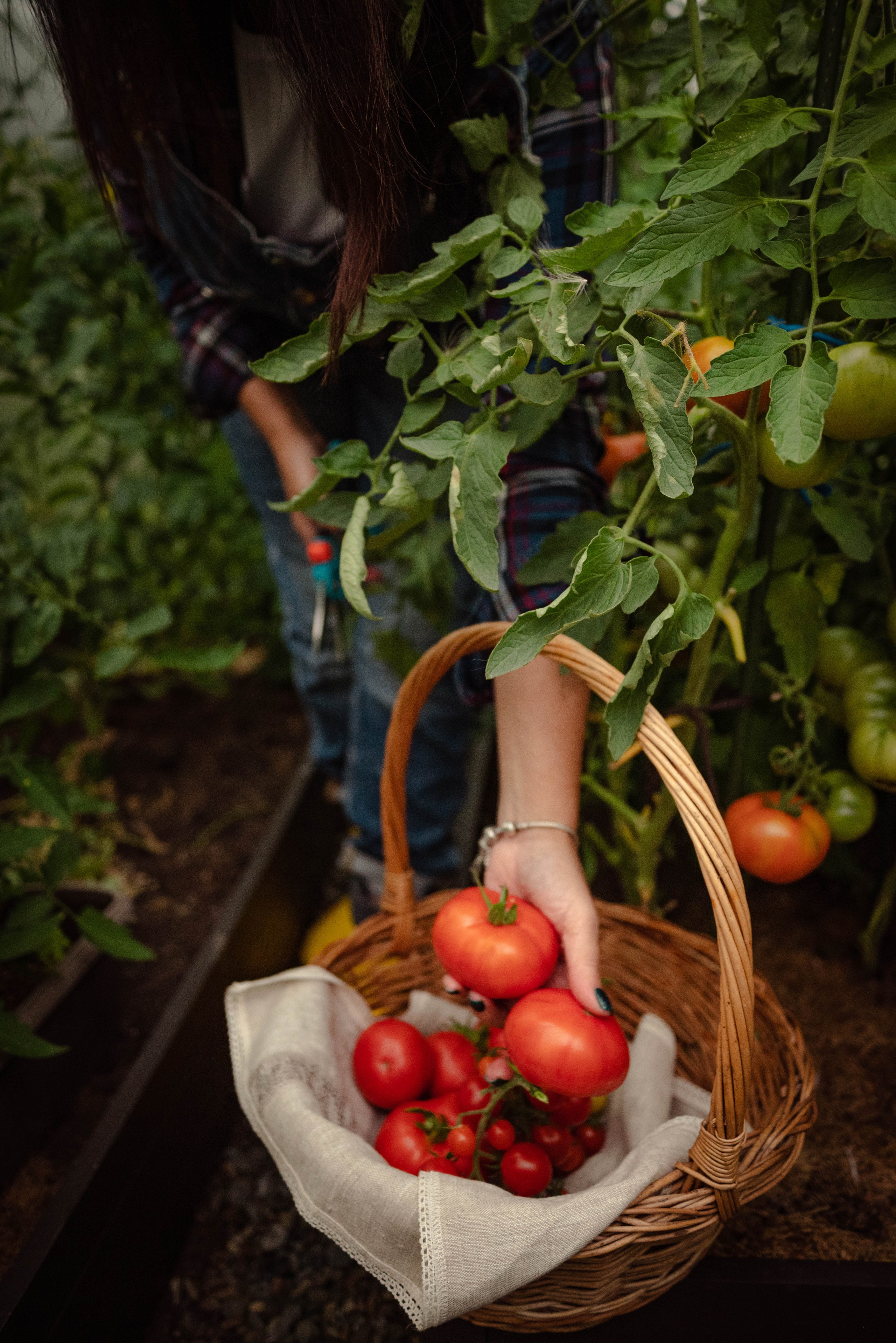 Лесное царство Оксаны. Свадебный и семейный фотограф в Новосибирске, Санкт-Петербурге, Москве