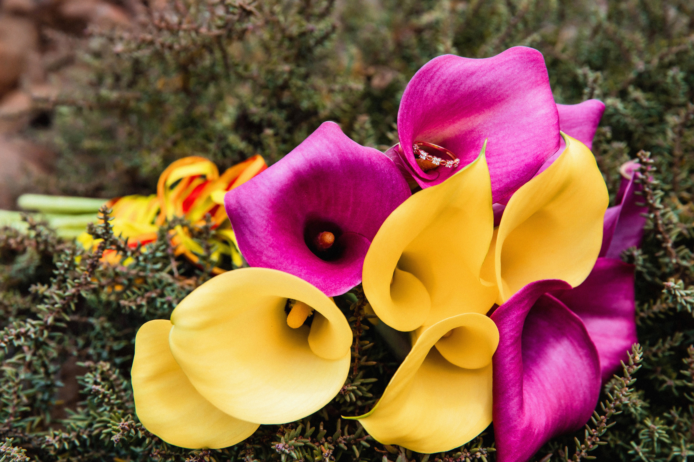 Be mine!. Фотограф Денис Осипов. Мадейра/Красноярск. Работаю с 2006 г. в РФ и ЕС